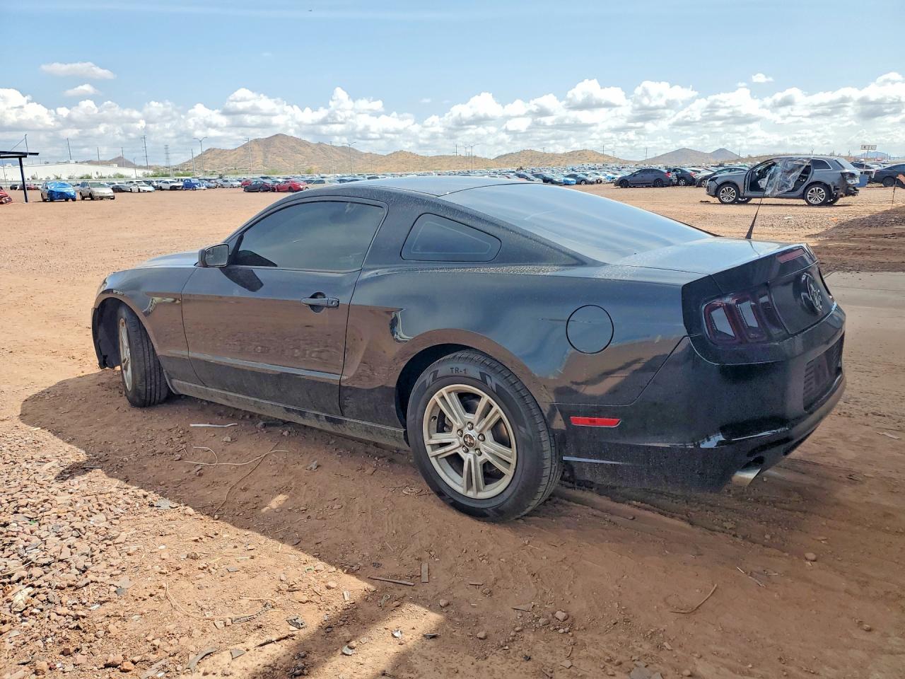 2014 Ford Mustang Black vin: 1ZVBP8AM9E5251675