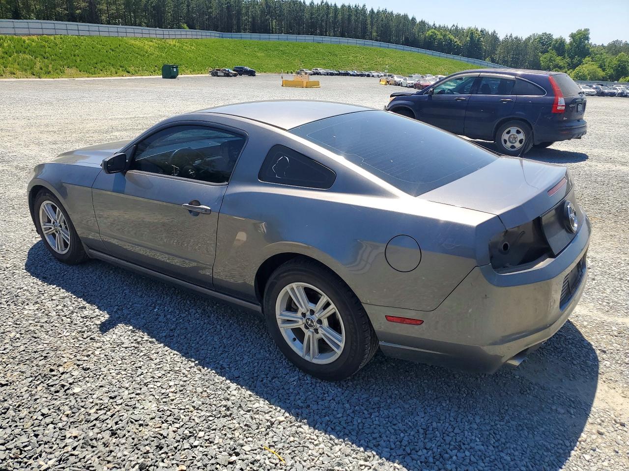 2014 Ford Mustang Серый vin: 1ZVBP8AM9E5259386