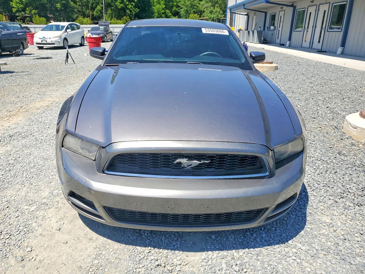 2014 Ford Mustang Серый vin: 1ZVBP8AM9E5259386