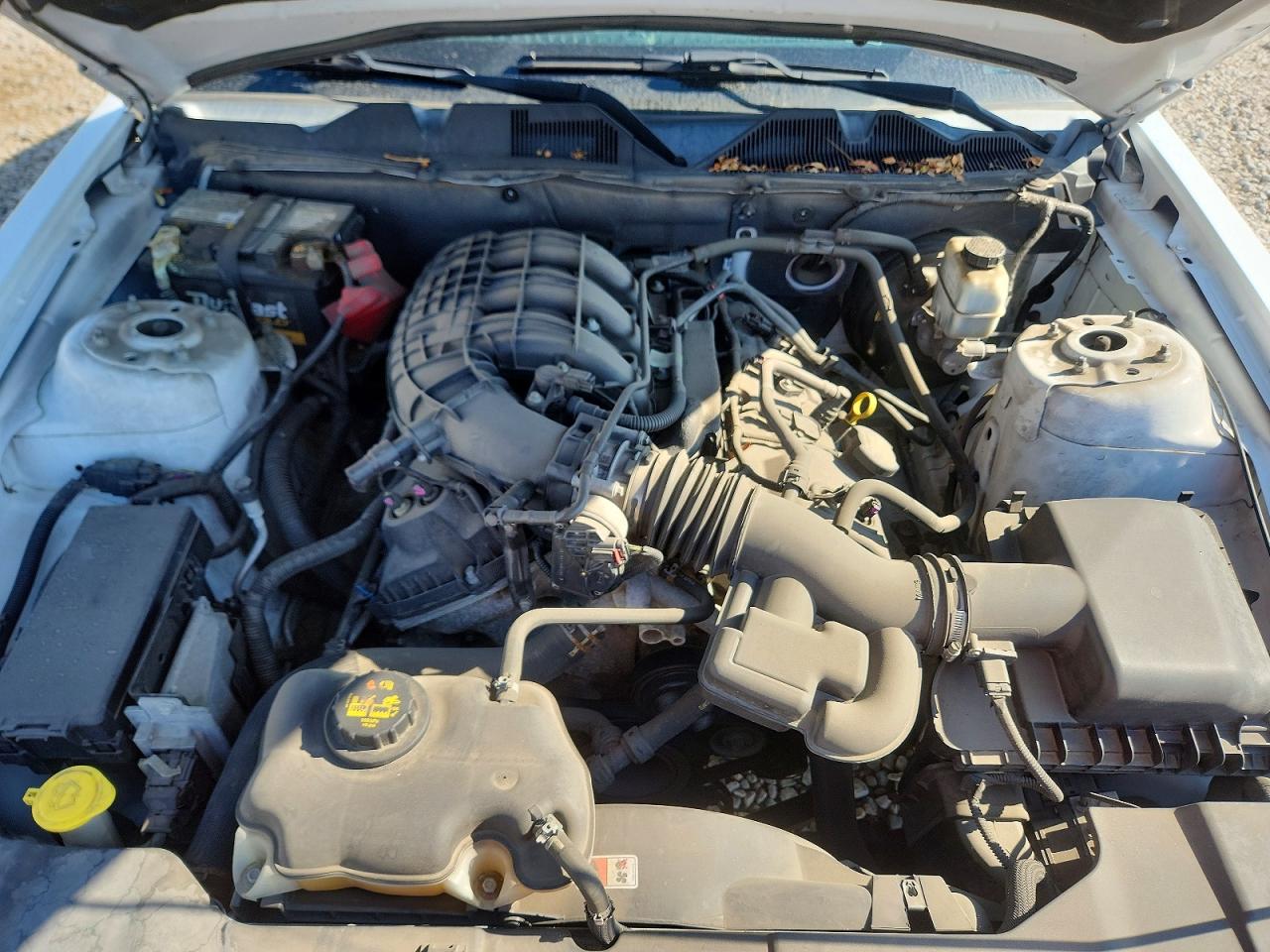 2014 Ford Mustang Белый vin: 1ZVBP8AM9E5267410