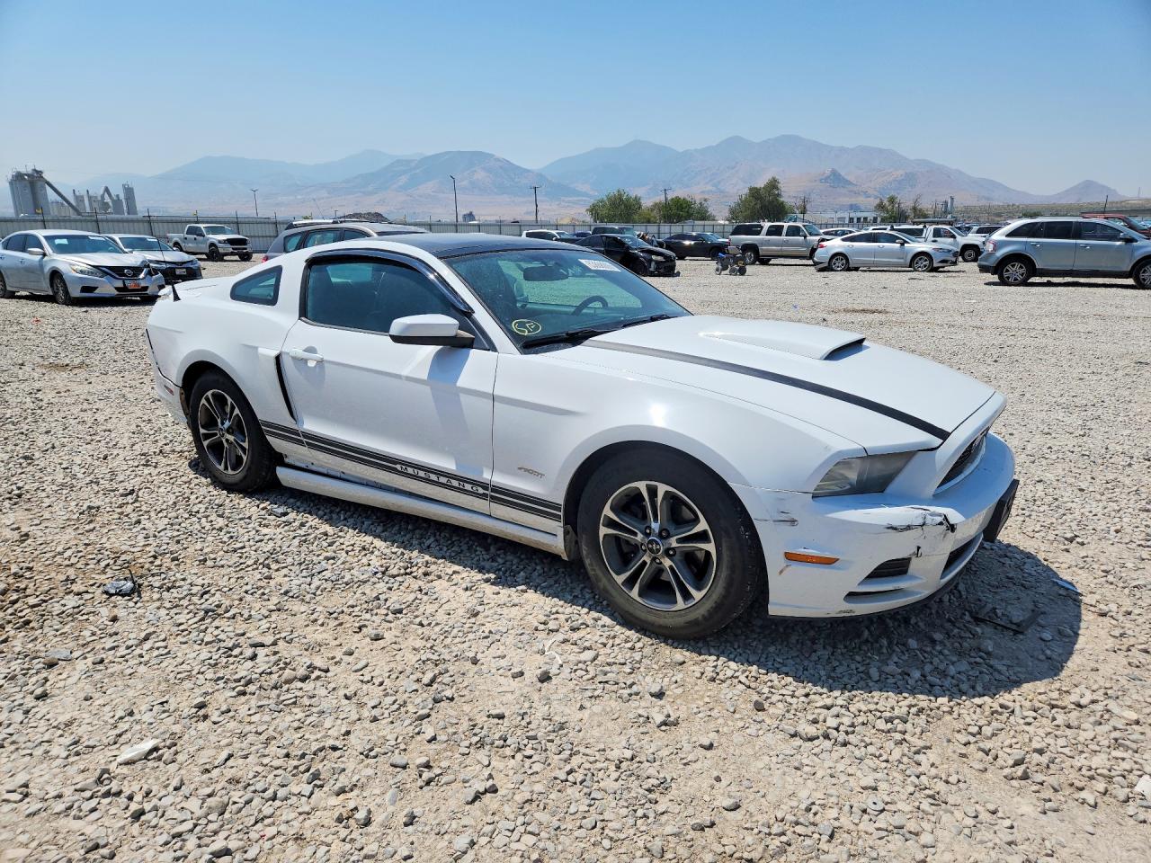 2014 Ford Mustang Белый vin: 1ZVBP8AM9E5267410