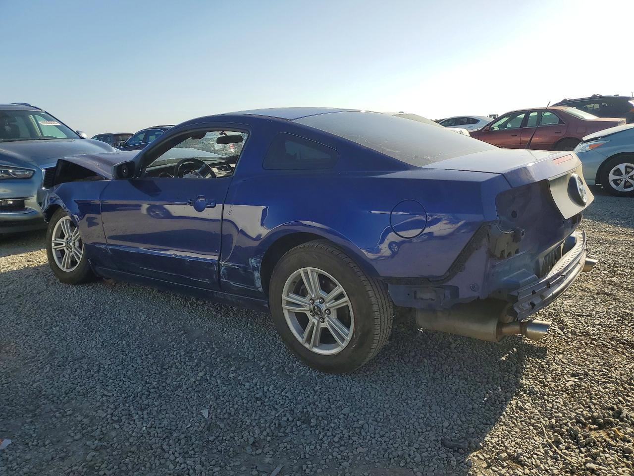 2014 Ford Mustang Blue vin: 1ZVBP8AM9E5275233
