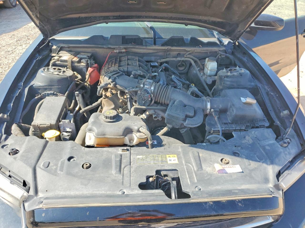2014 Ford Mustang Черный vin: 1ZVBP8AM9E5284644