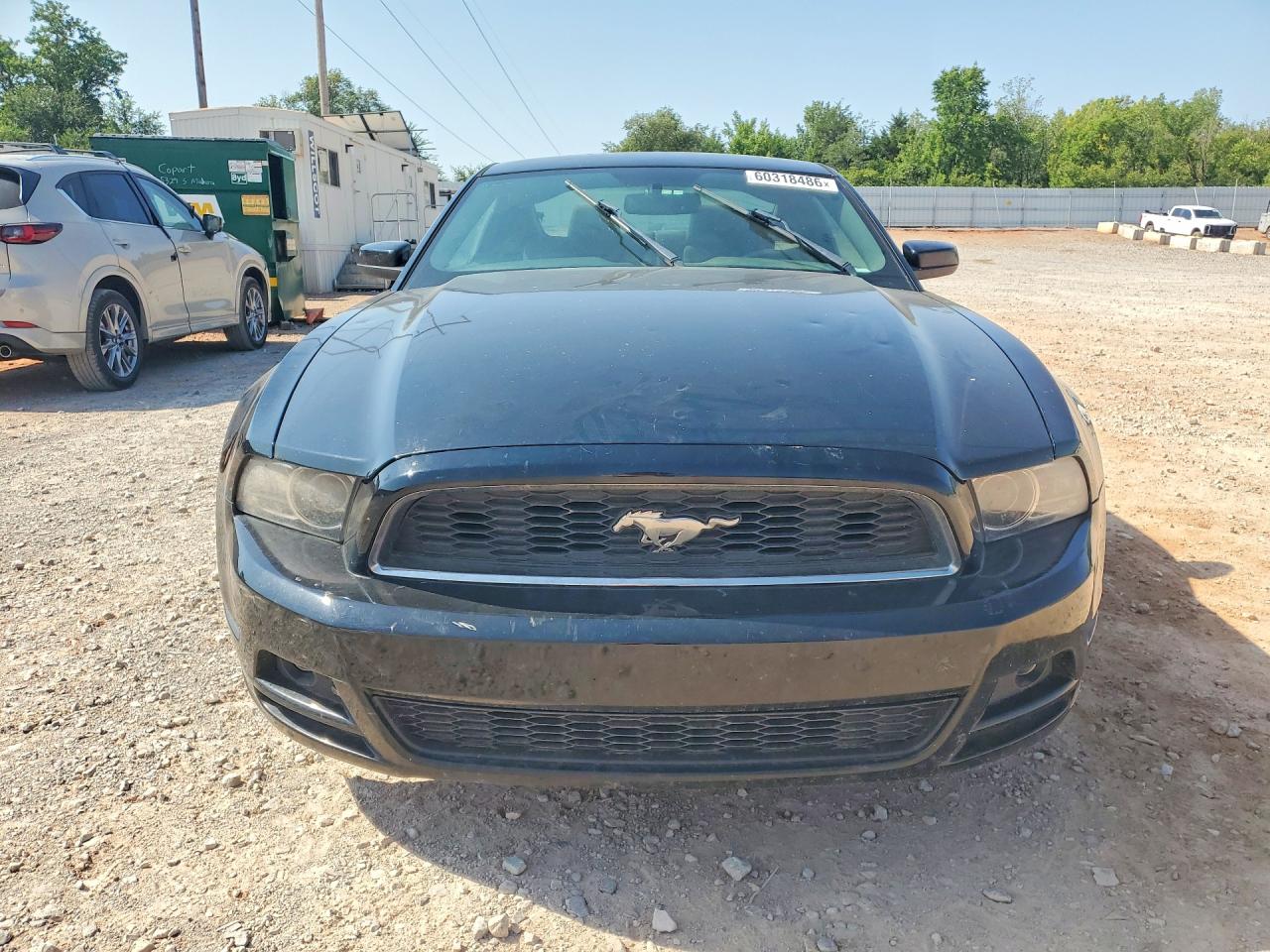 2014 Ford Mustang Черный vin: 1ZVBP8AM9E5284644