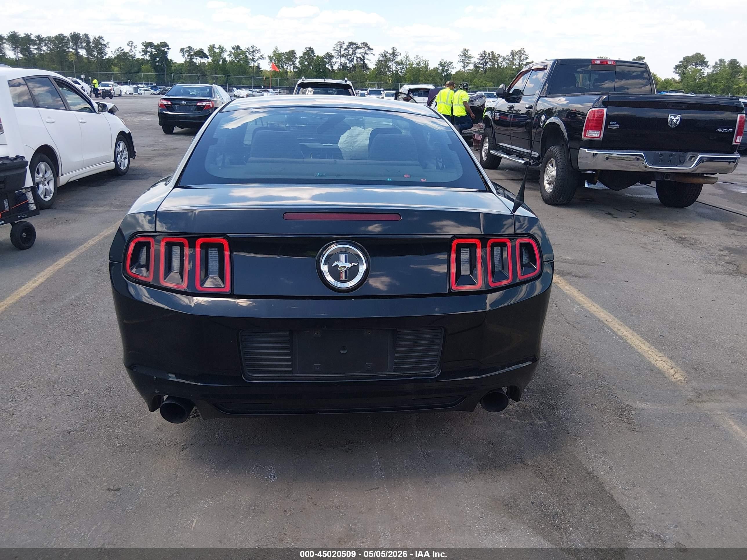 2014 Ford Mustang V6 Черный vin: 1ZVBP8AM9E5303516