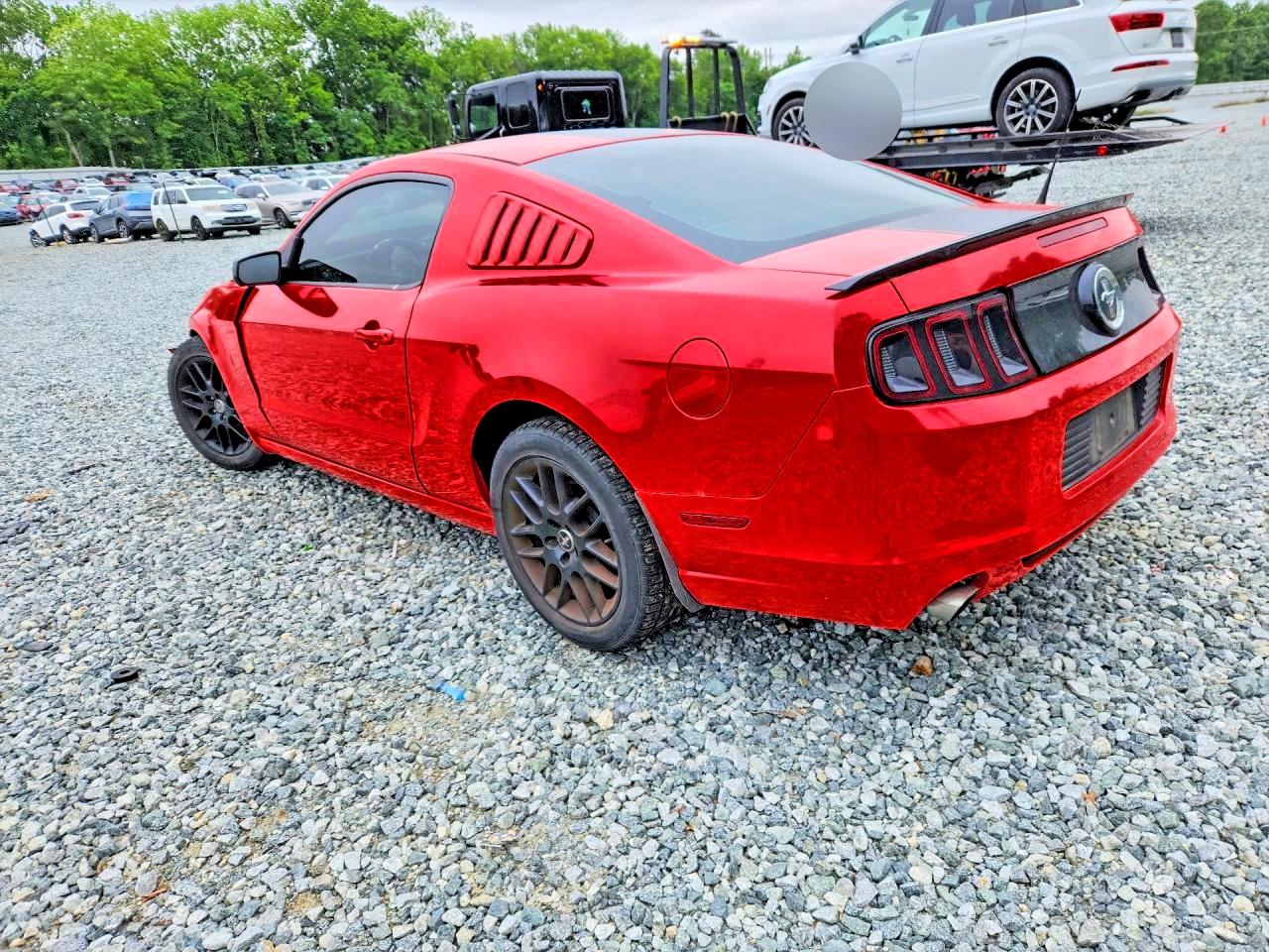 2014 Ford Mustang Red vin: 1ZVBP8AM9E5308229