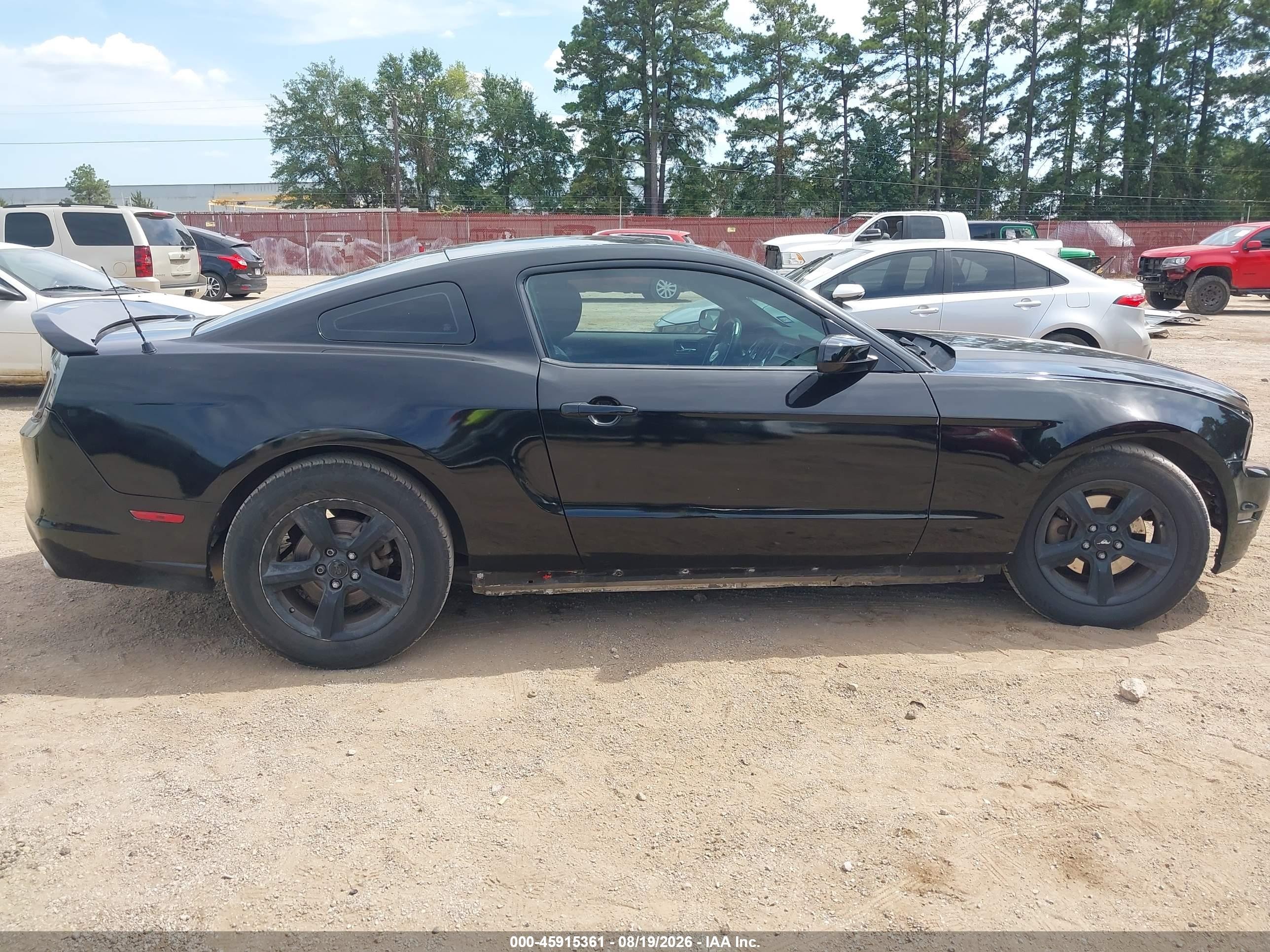 2014 Ford Mustang V6 Premium Black vin: 1ZVBP8AM9E5310952