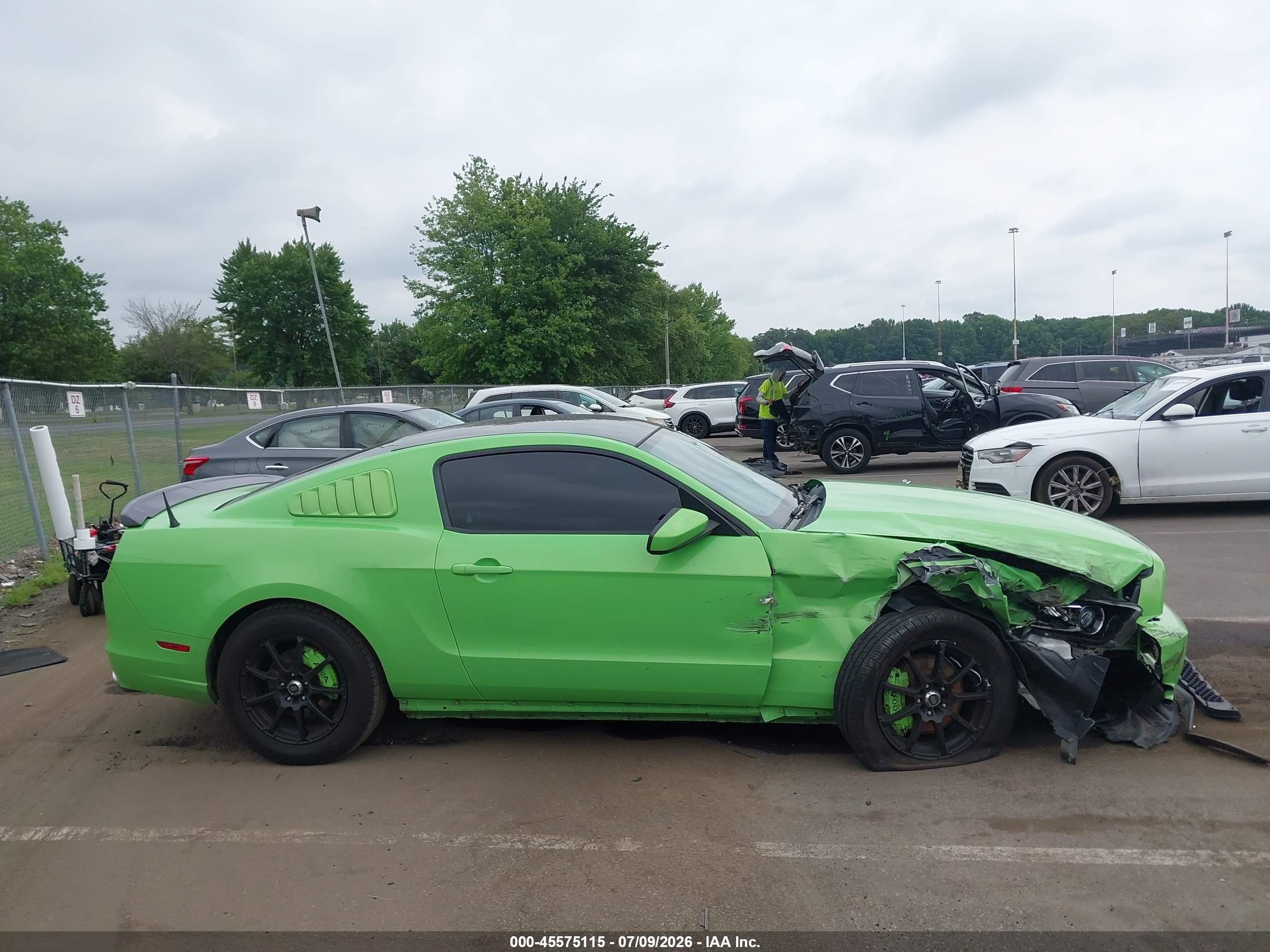 2014 Ford Mustang V6 Green vin: 1ZVBP8AM9E5318176
