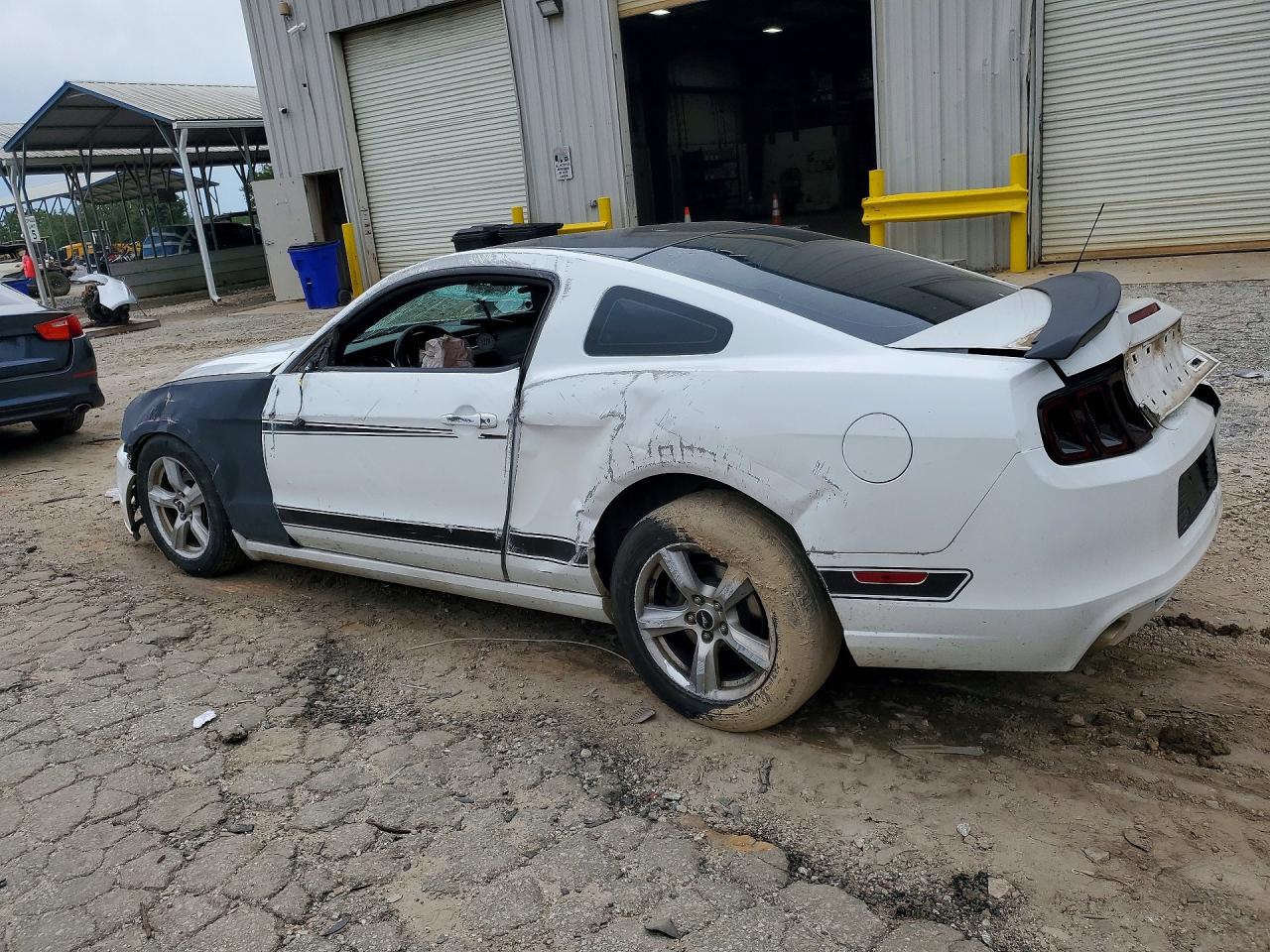 2014 Ford Mustang Белый vin: 1ZVBP8AM9E5332417