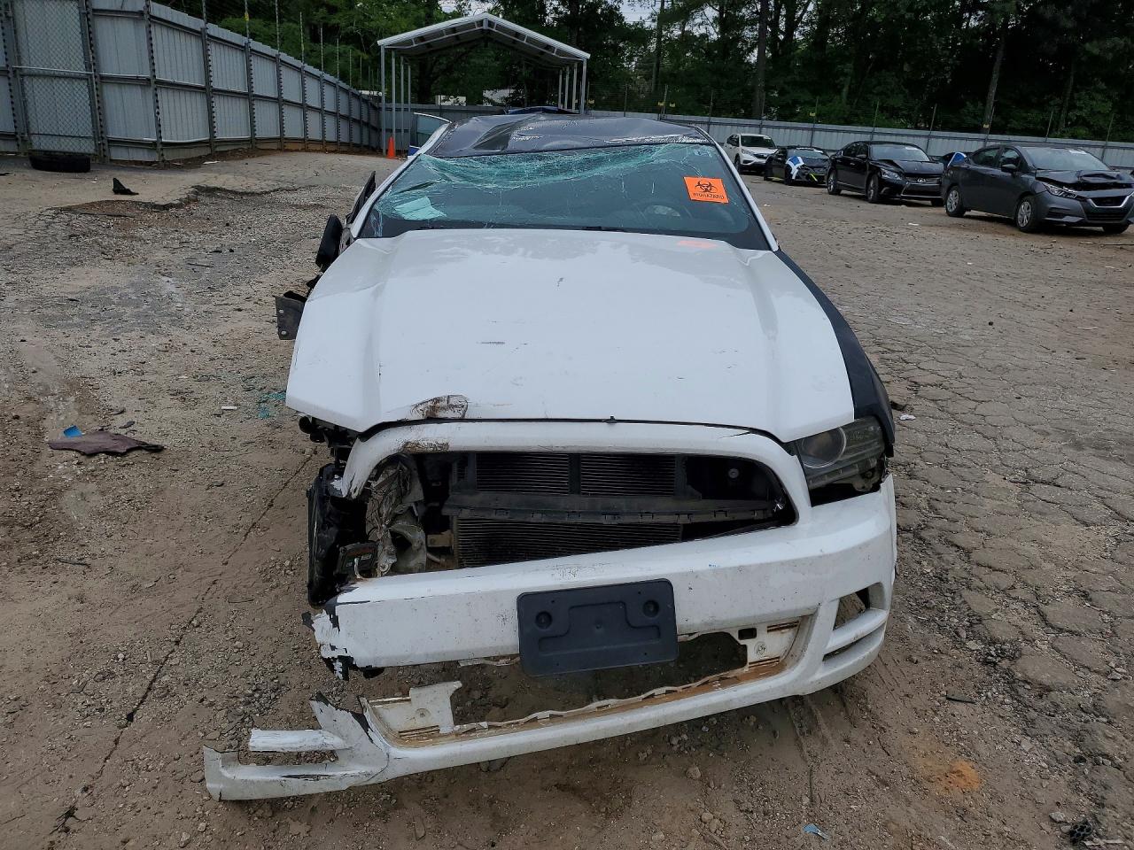 2014 Ford Mustang Белый vin: 1ZVBP8AM9E5332417