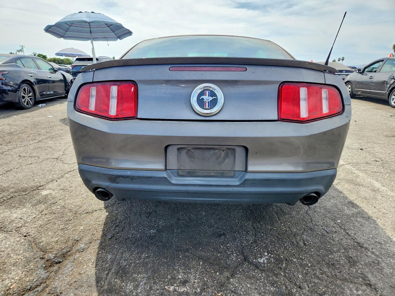 2011 Ford Mustang Gray vin: 1ZVBP8AMXB5169031