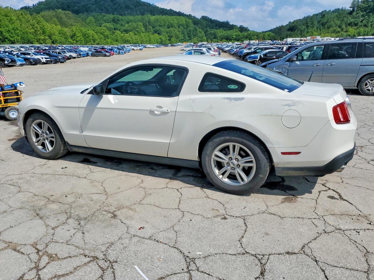 2012 Ford Mustang White vin: 1ZVBP8AMXC5206967