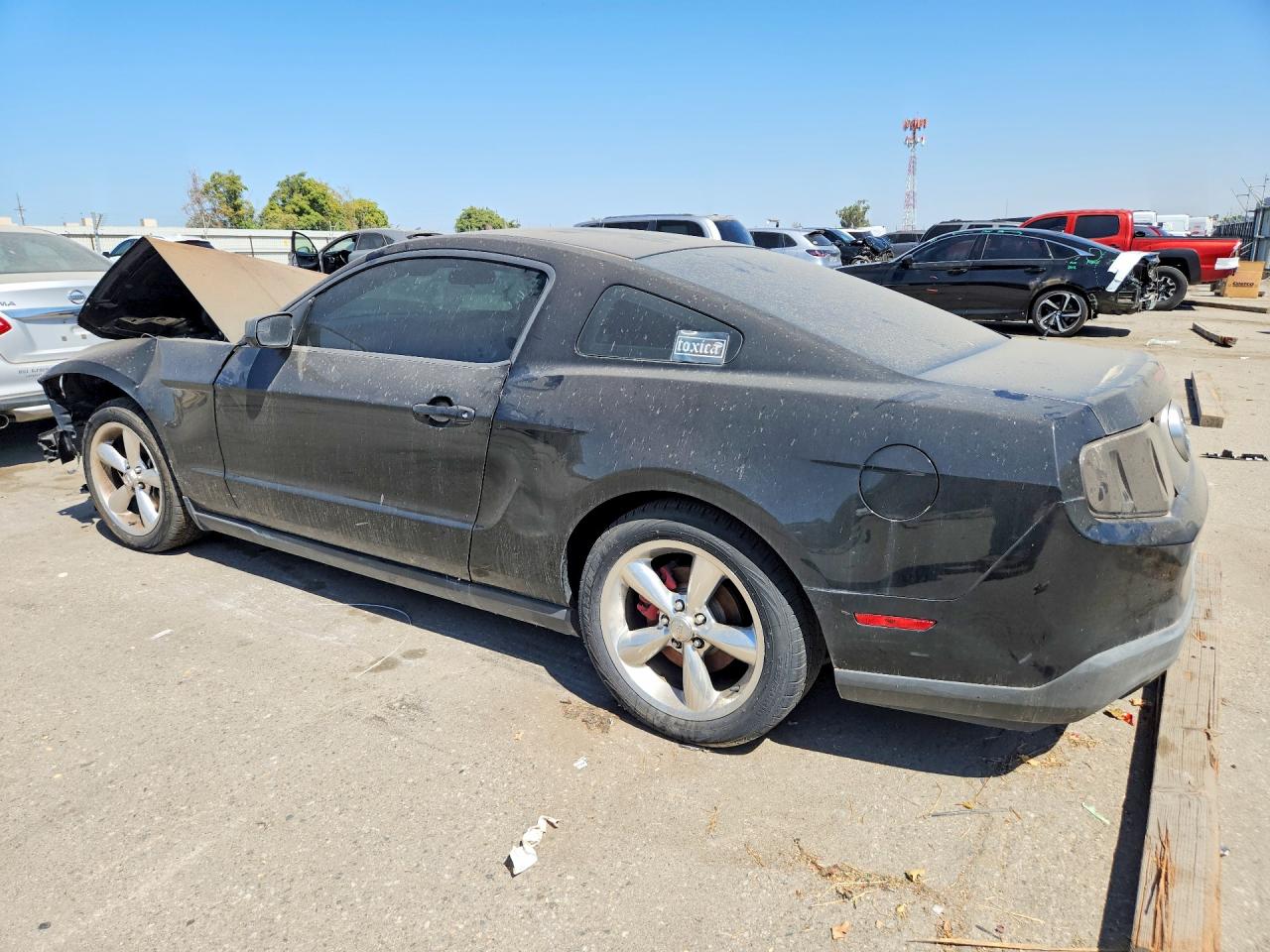 2012 Ford Mustang Black vin: 1ZVBP8AMXC5207407