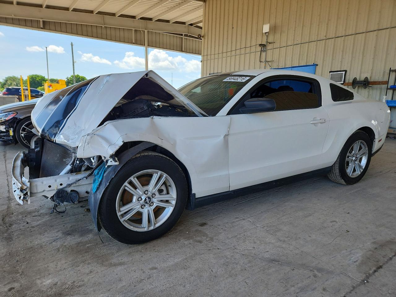 2012 Ford Mustang White vin: 1ZVBP8AMXC5239256