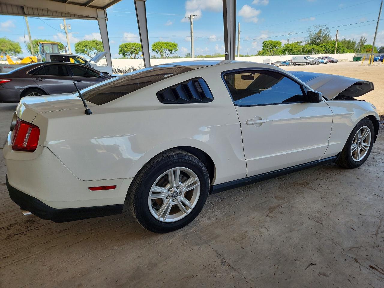 2012 Ford Mustang White vin: 1ZVBP8AMXC5239256