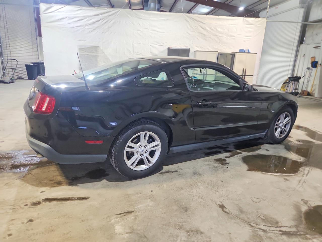2012 Ford Mustang Черный vin: 1ZVBP8AMXC5250273
