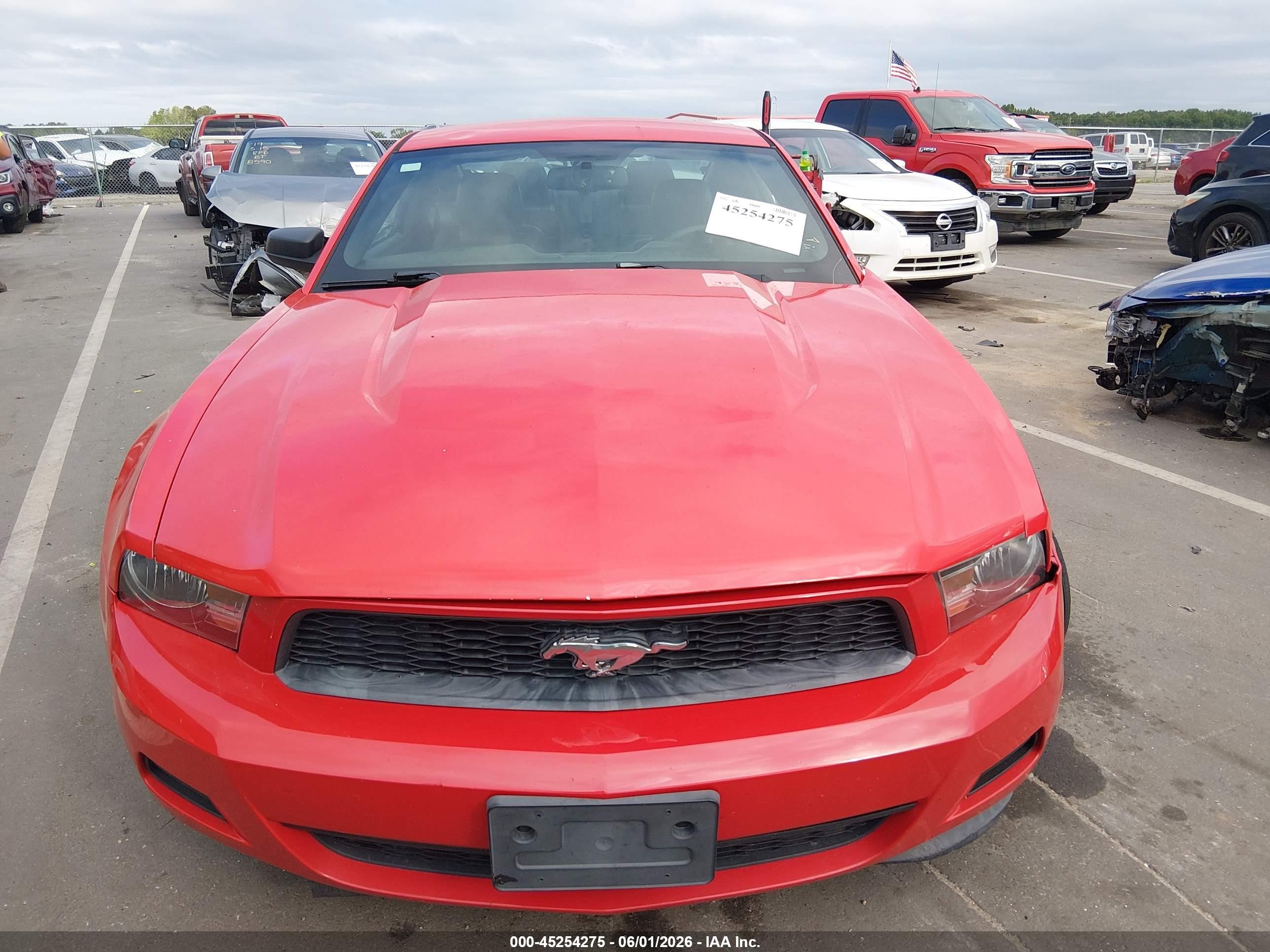 2012 Ford Mustang V6 Premium Красный vin: 1ZVBP8AMXC5255019