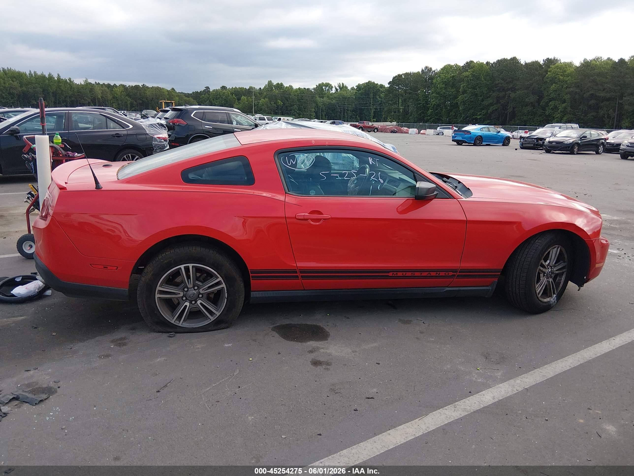 2012 Ford Mustang V6 Premium Красный vin: 1ZVBP8AMXC5255019