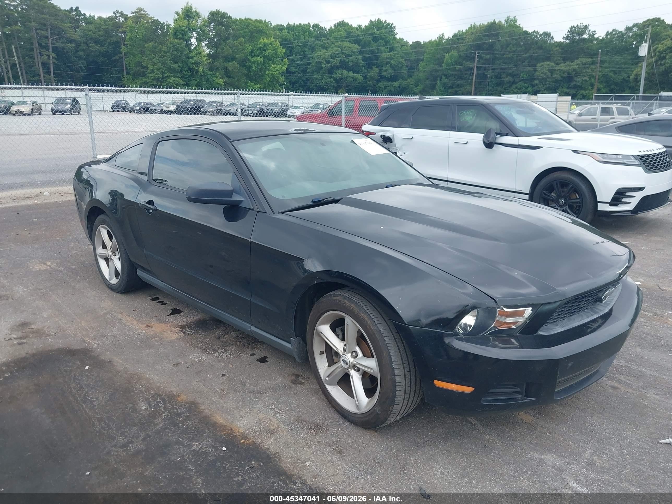 2012 Ford Mustang V6 Black vin: 1ZVBP8AMXC5273505