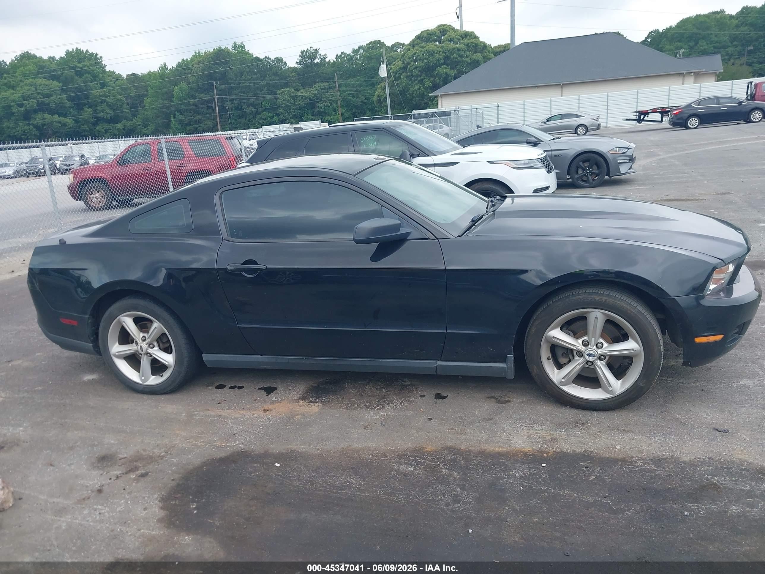 2012 Ford Mustang V6 Black vin: 1ZVBP8AMXC5273505