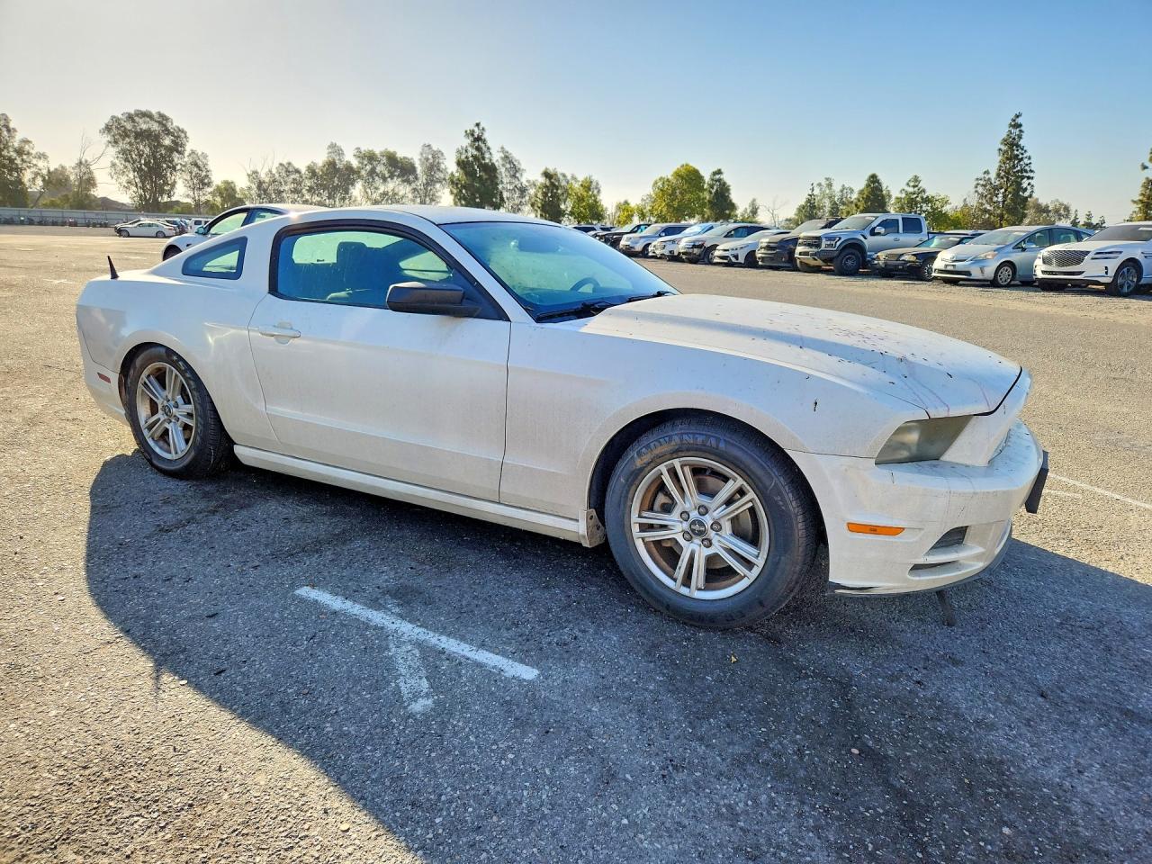 2013 Ford Mustang White vin: 1ZVBP8AMXD5203441