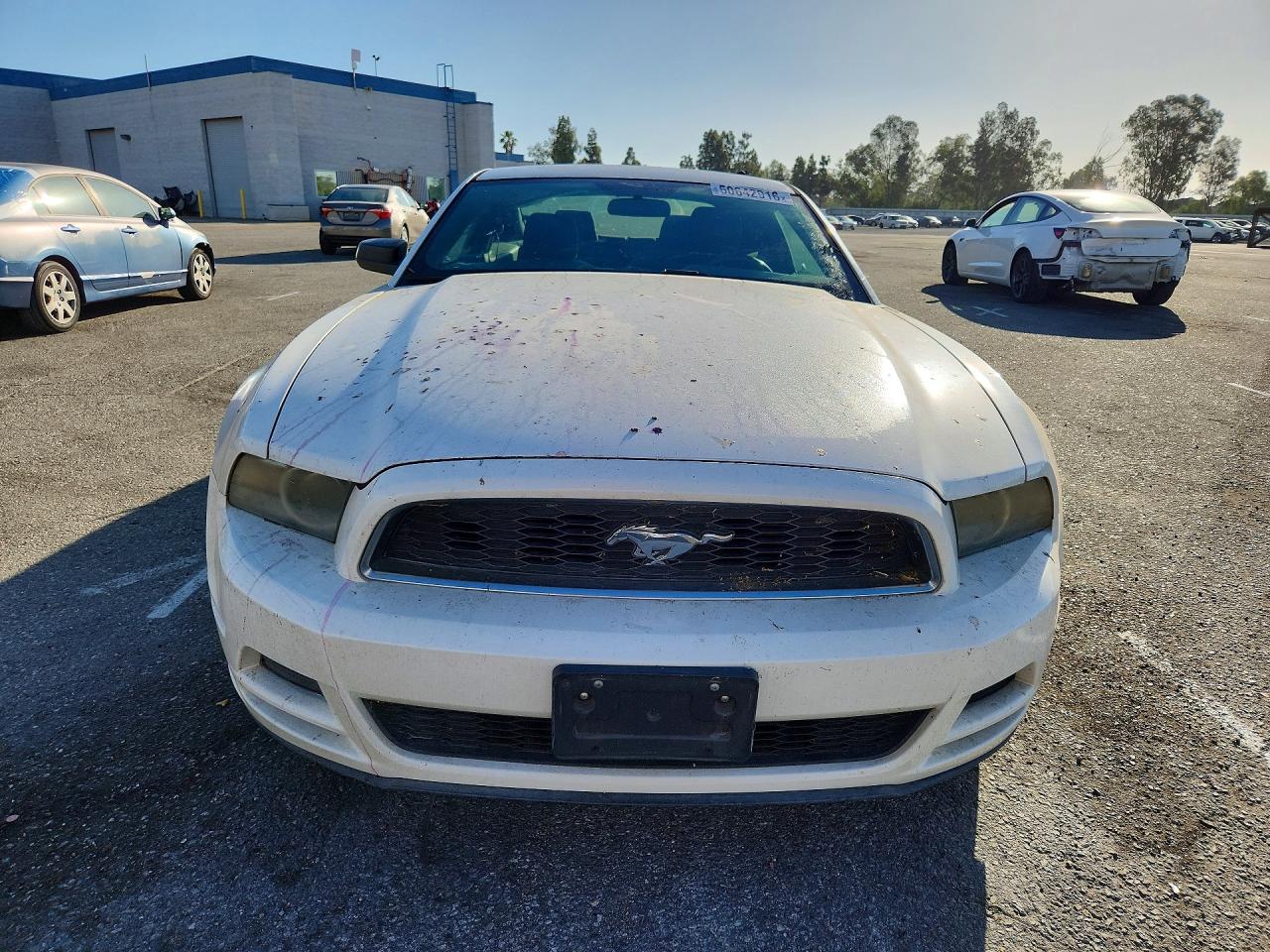 2013 Ford Mustang White vin: 1ZVBP8AMXD5203441
