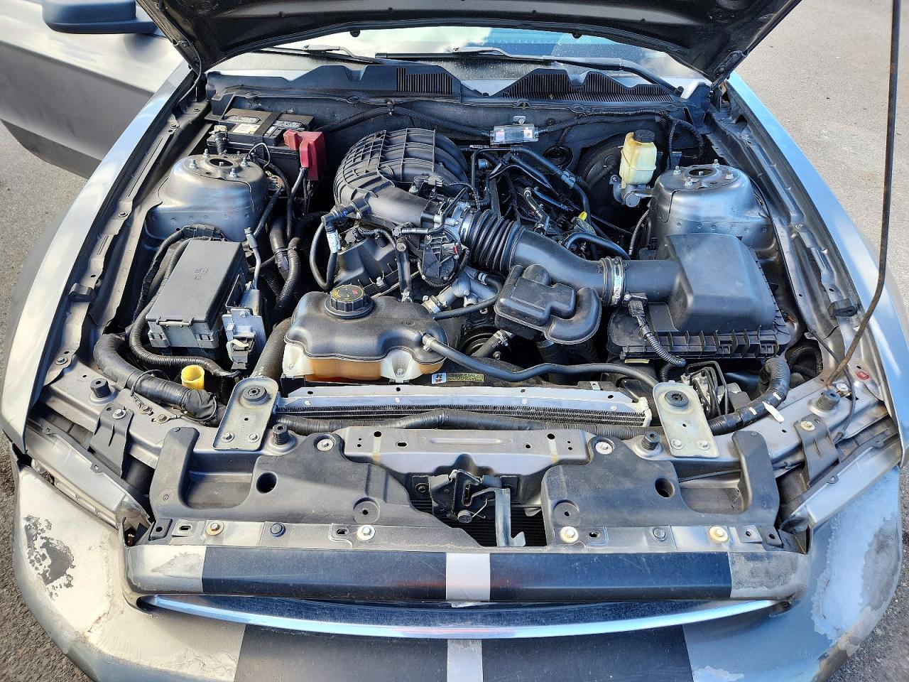 2013 Ford Mustang Charcoal vin: 1ZVBP8AMXD5252722