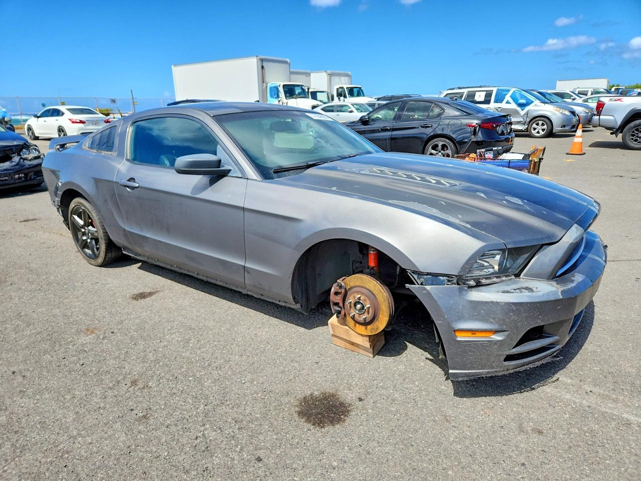2013 Ford Mustang Charcoal vin: 1ZVBP8AMXD5252722