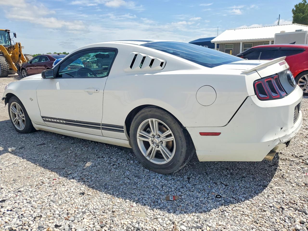2013 Ford Mustang White vin: 1ZVBP8AMXD5266913