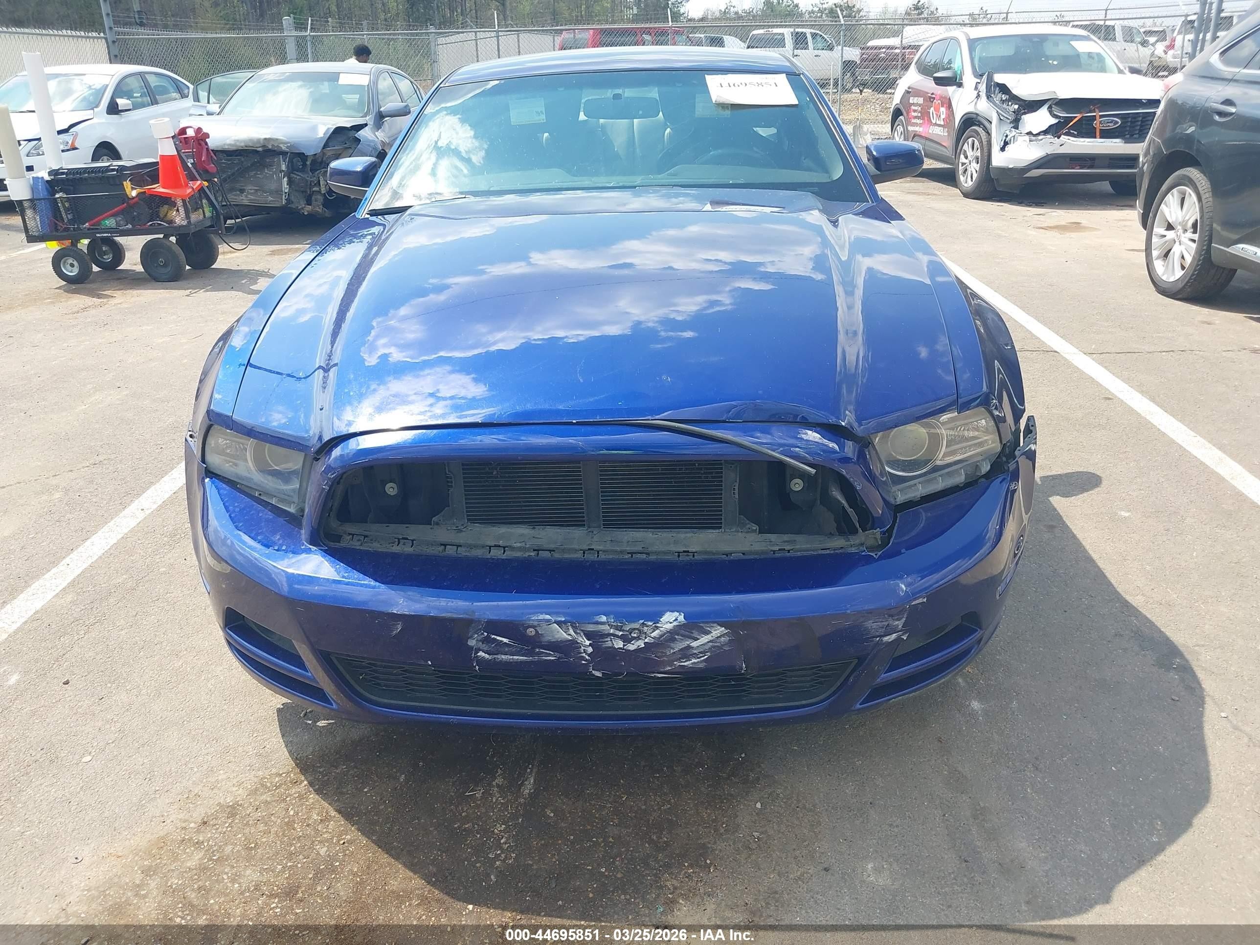 2014 Ford Mustang V6 Premium Blue vin: 1ZVBP8AMXE5223884