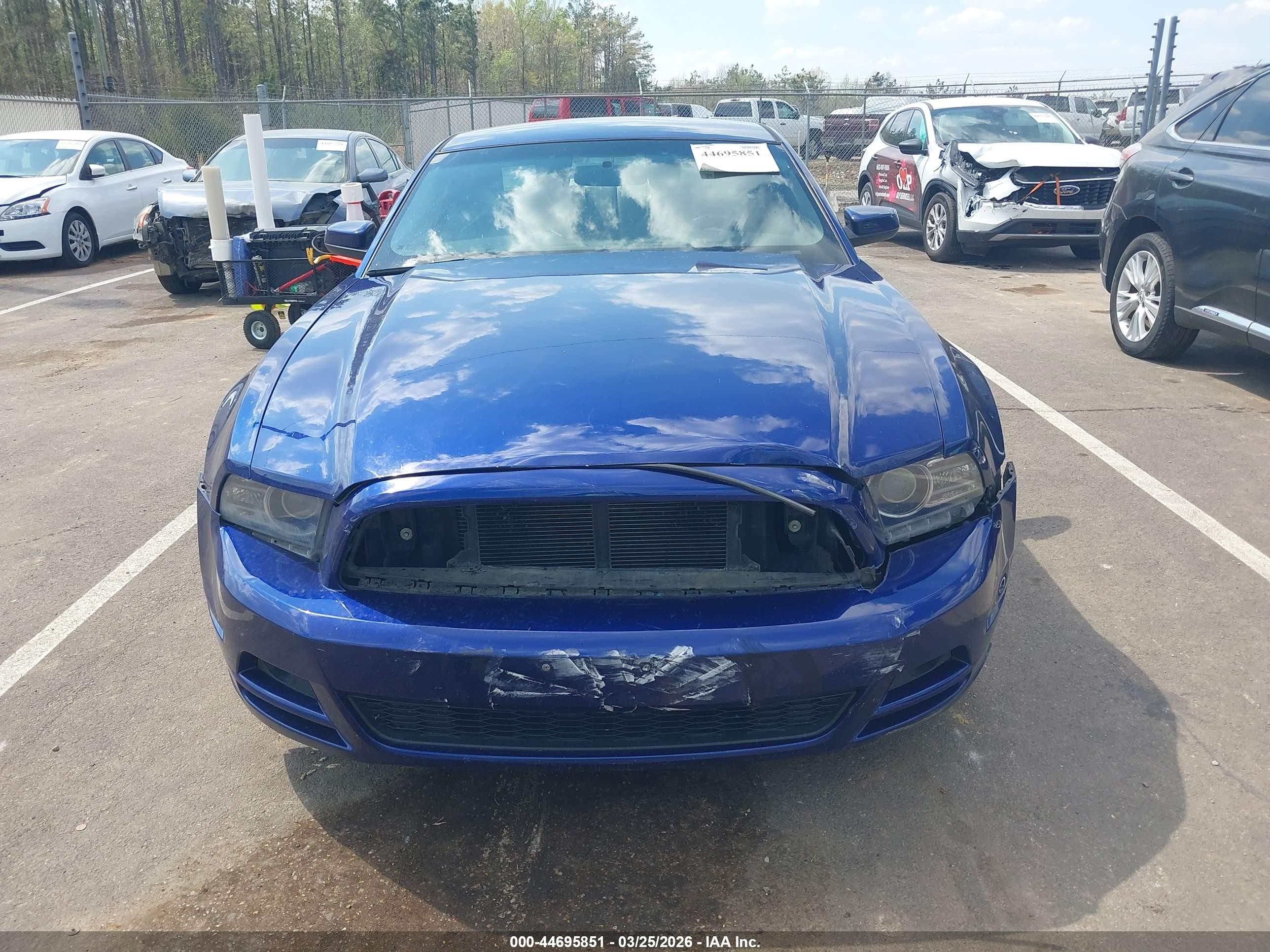 2014 Ford Mustang V6 Premium Blue vin: 1ZVBP8AMXE5223884