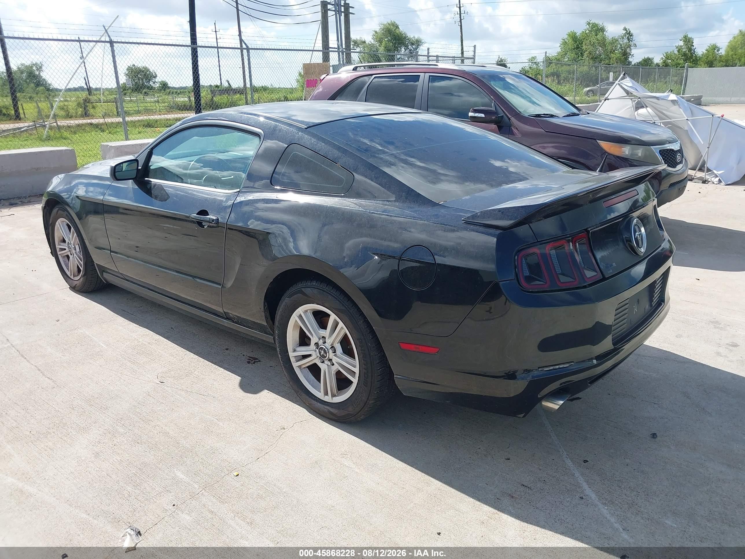2014 Ford Mustang V6 Черный vin: 1ZVBP8AMXE5227689