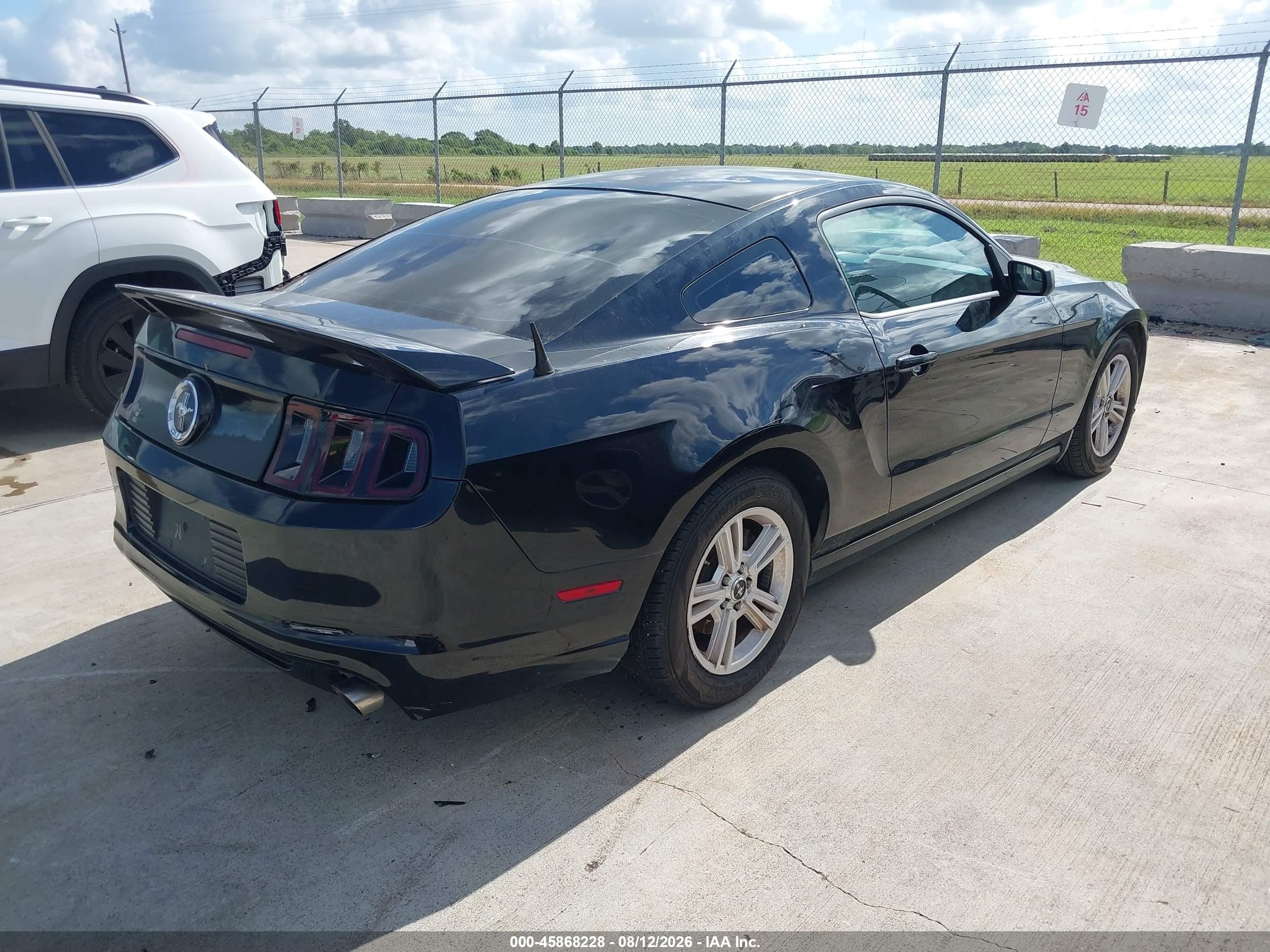 2014 Ford Mustang V6 Черный vin: 1ZVBP8AMXE5227689