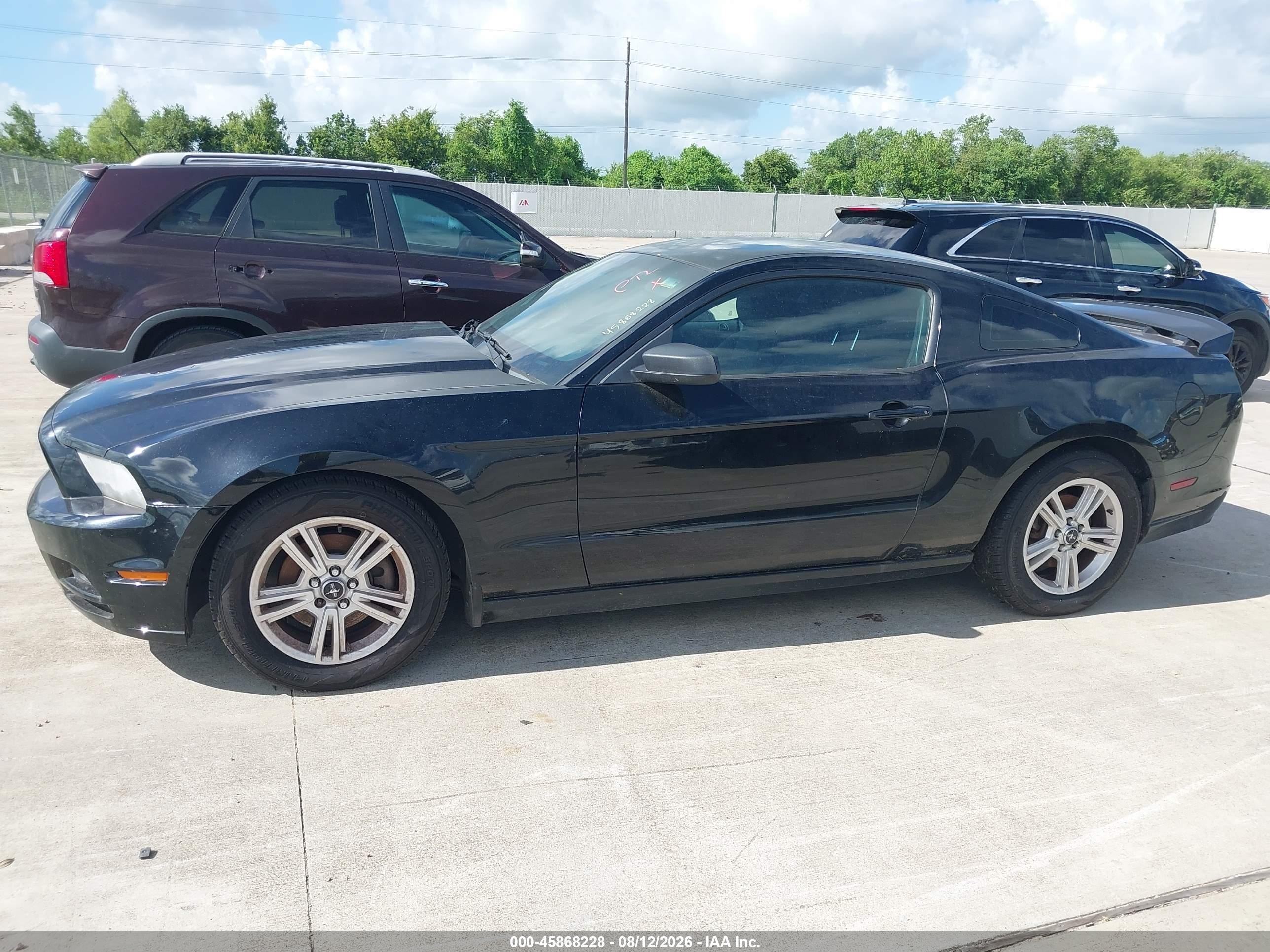 2014 Ford Mustang V6 Черный vin: 1ZVBP8AMXE5227689