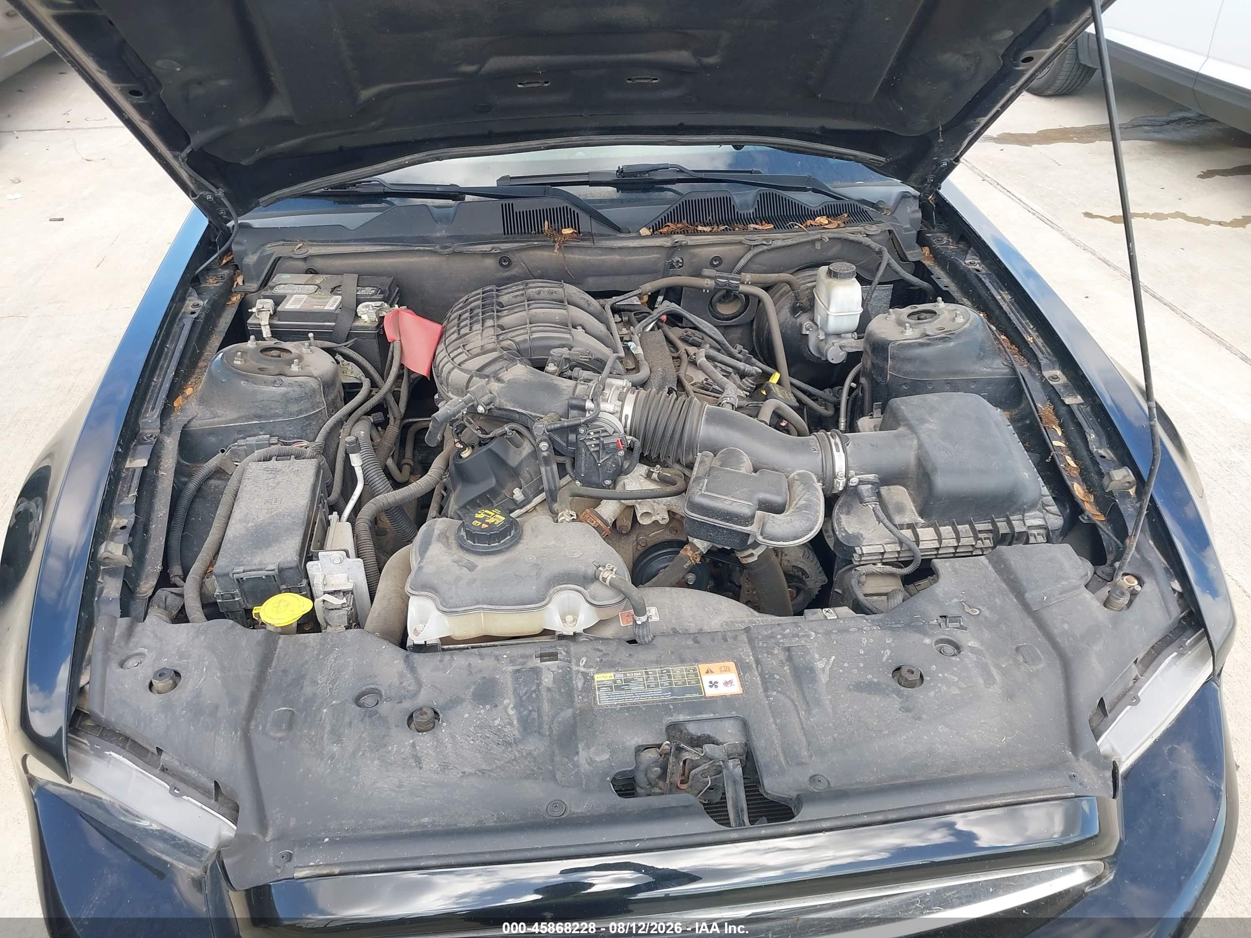 2014 Ford Mustang V6 Черный vin: 1ZVBP8AMXE5227689
