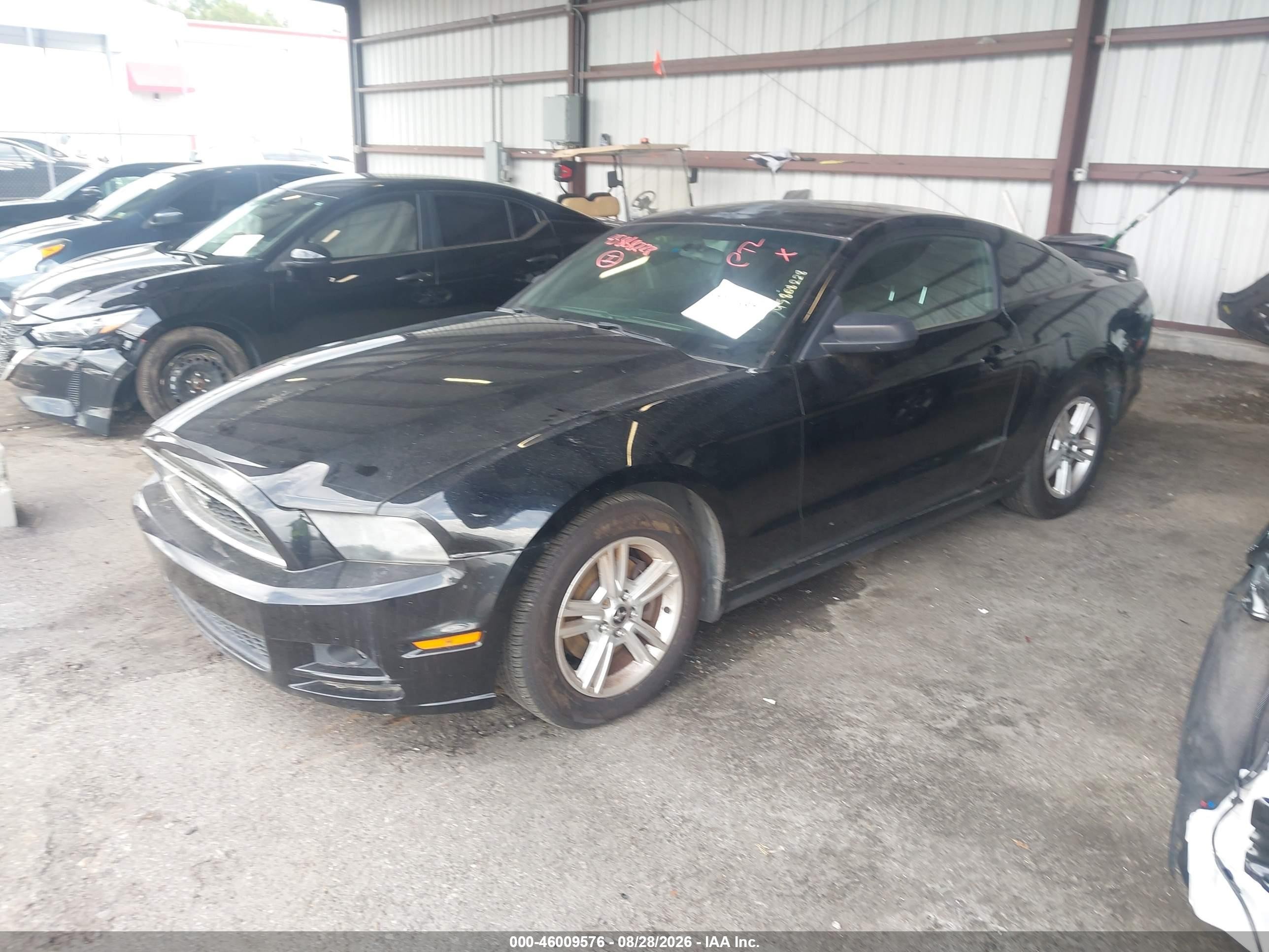 2014 Ford Mustang V6 Black vin: 1ZVBP8AMXE5227689