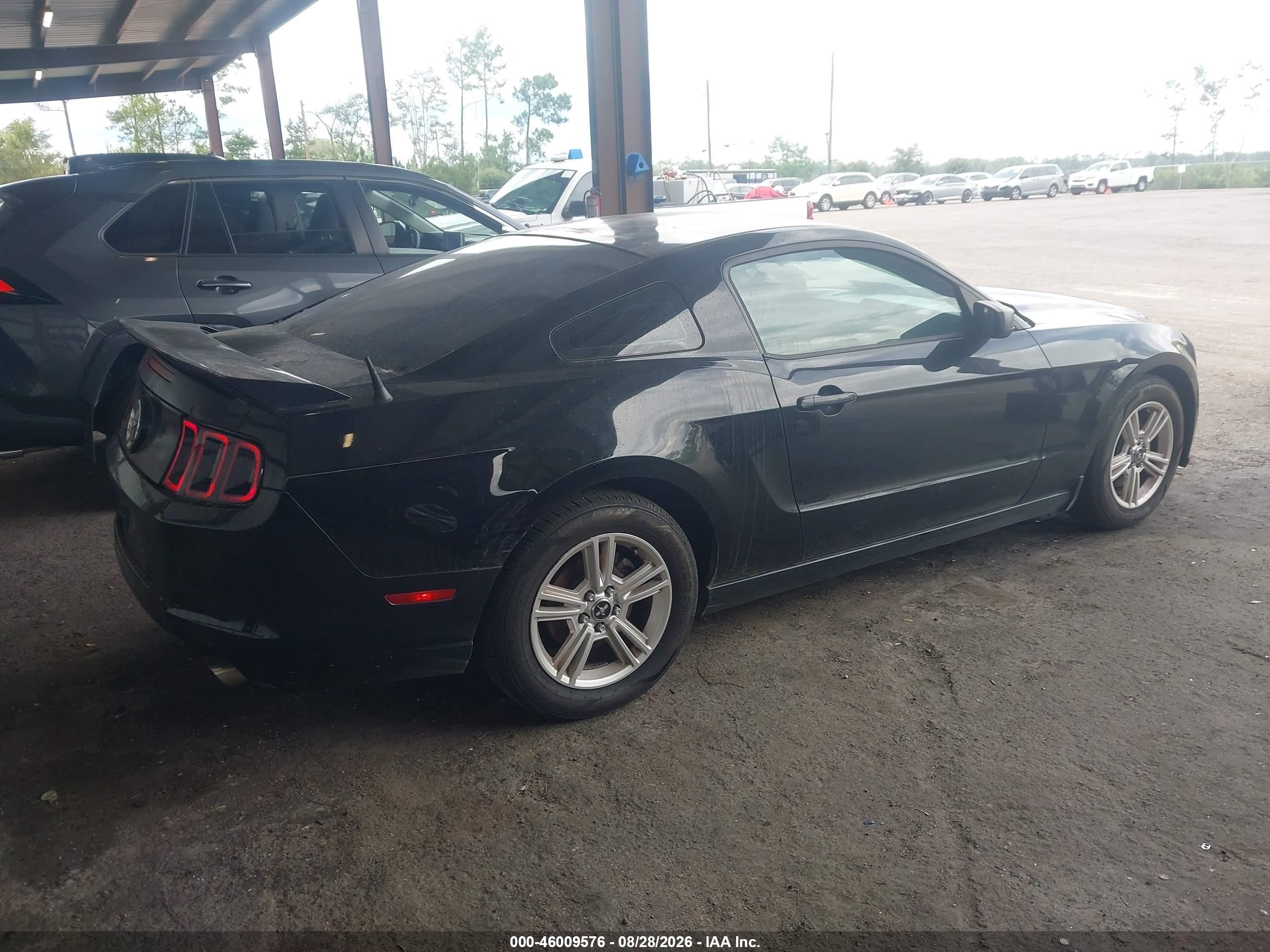 2014 Ford Mustang V6 Black vin: 1ZVBP8AMXE5227689
