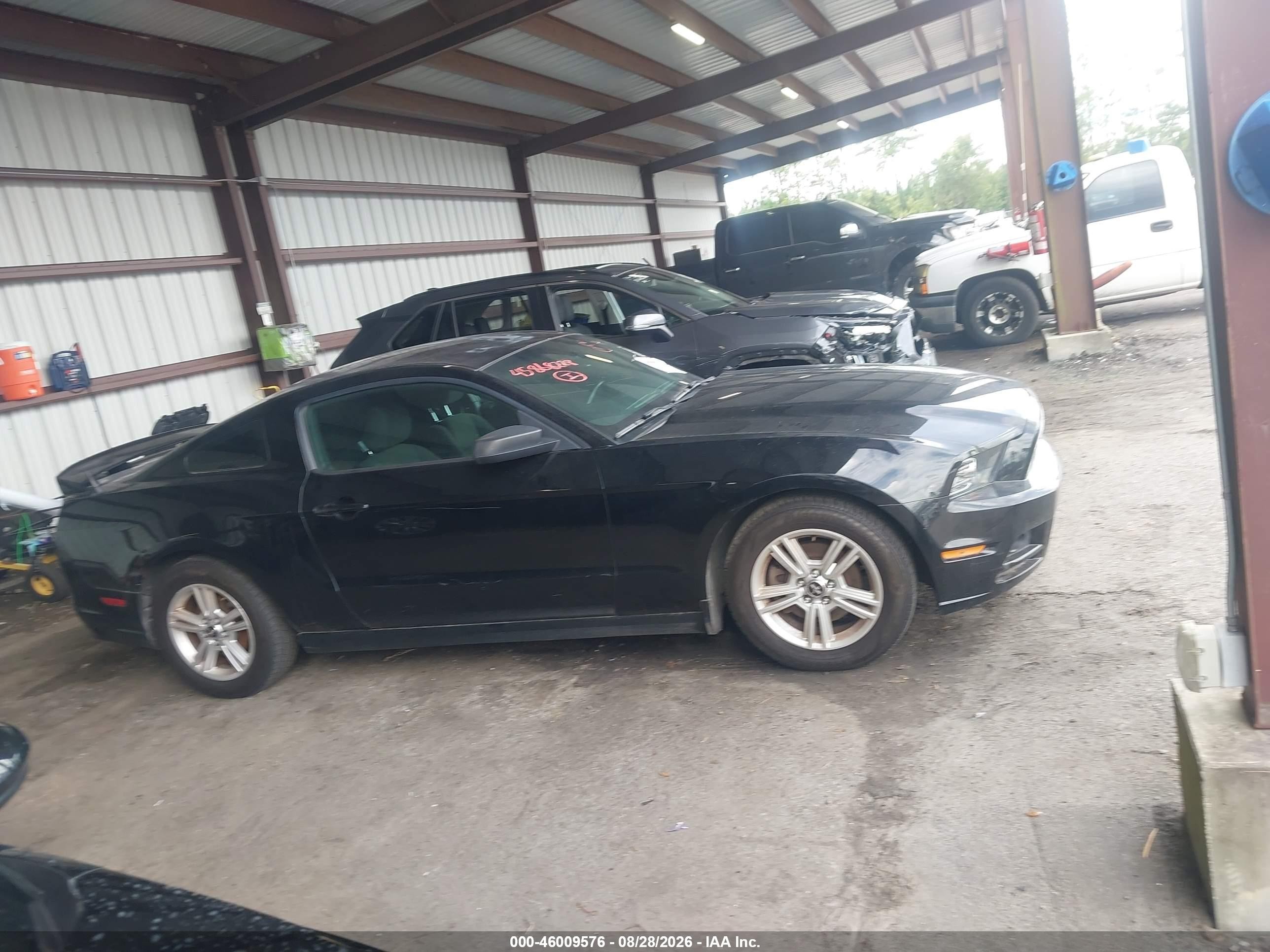 2014 Ford Mustang V6 Black vin: 1ZVBP8AMXE5227689