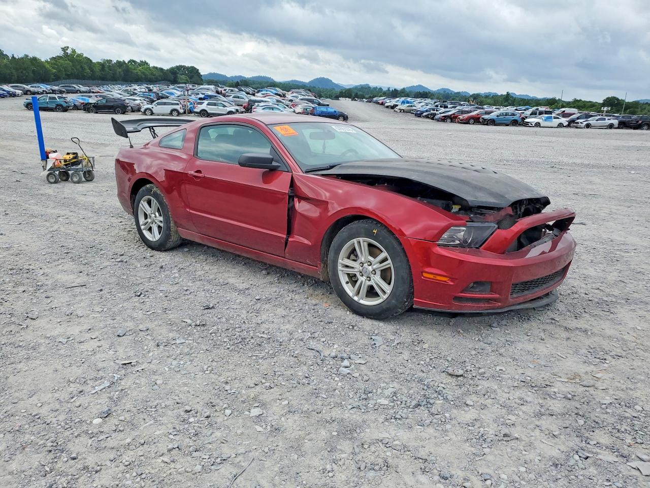 2014 Ford Mustang Red vin: 1ZVBP8AMXE5233105