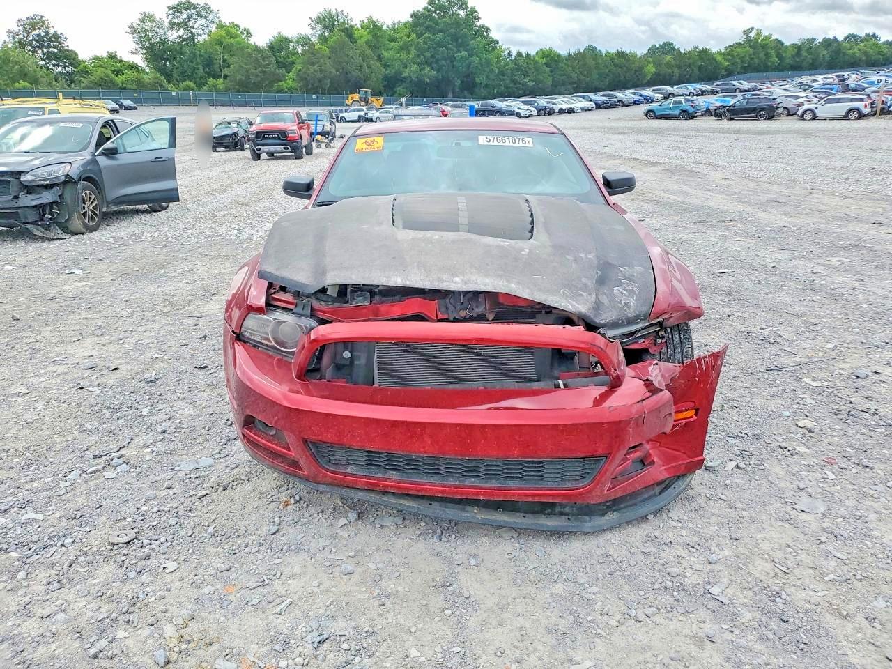2014 Ford Mustang Red vin: 1ZVBP8AMXE5233105