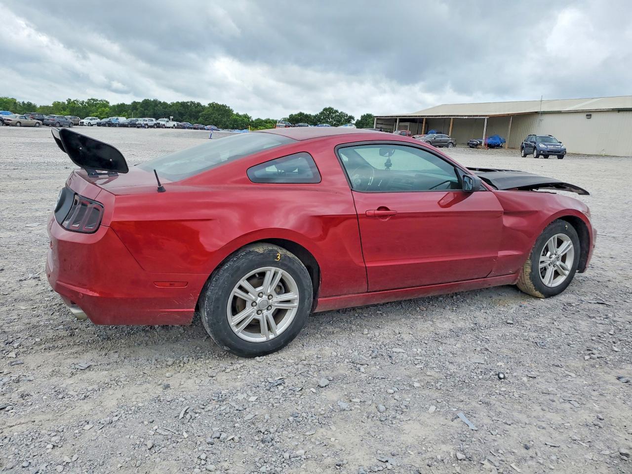 2014 Ford Mustang Red vin: 1ZVBP8AMXE5233105