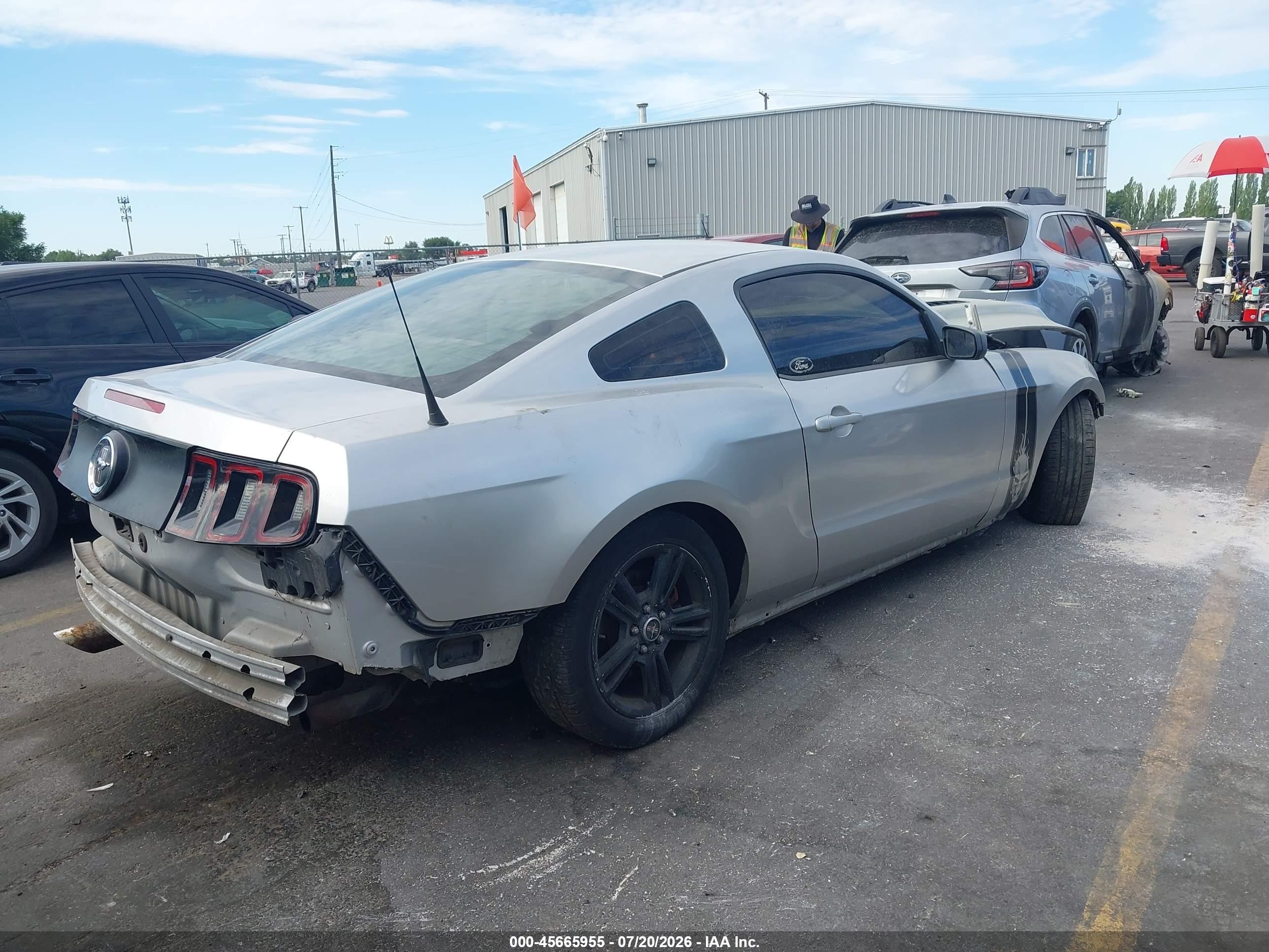 2014 Ford Mustang V6 Серебряный vin: 1ZVBP8AMXE5239891