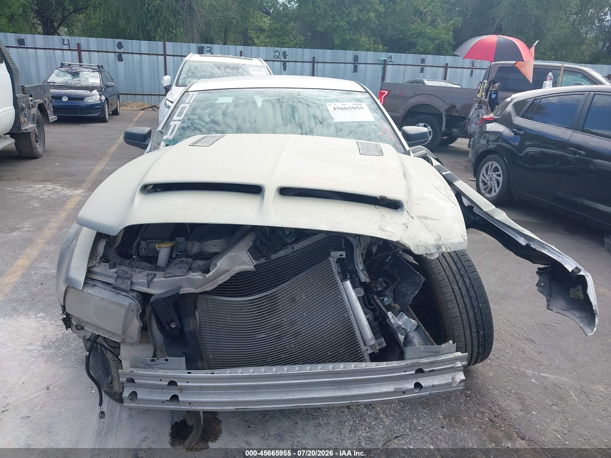 2014 Ford Mustang V6 Серебряный vin: 1ZVBP8AMXE5239891