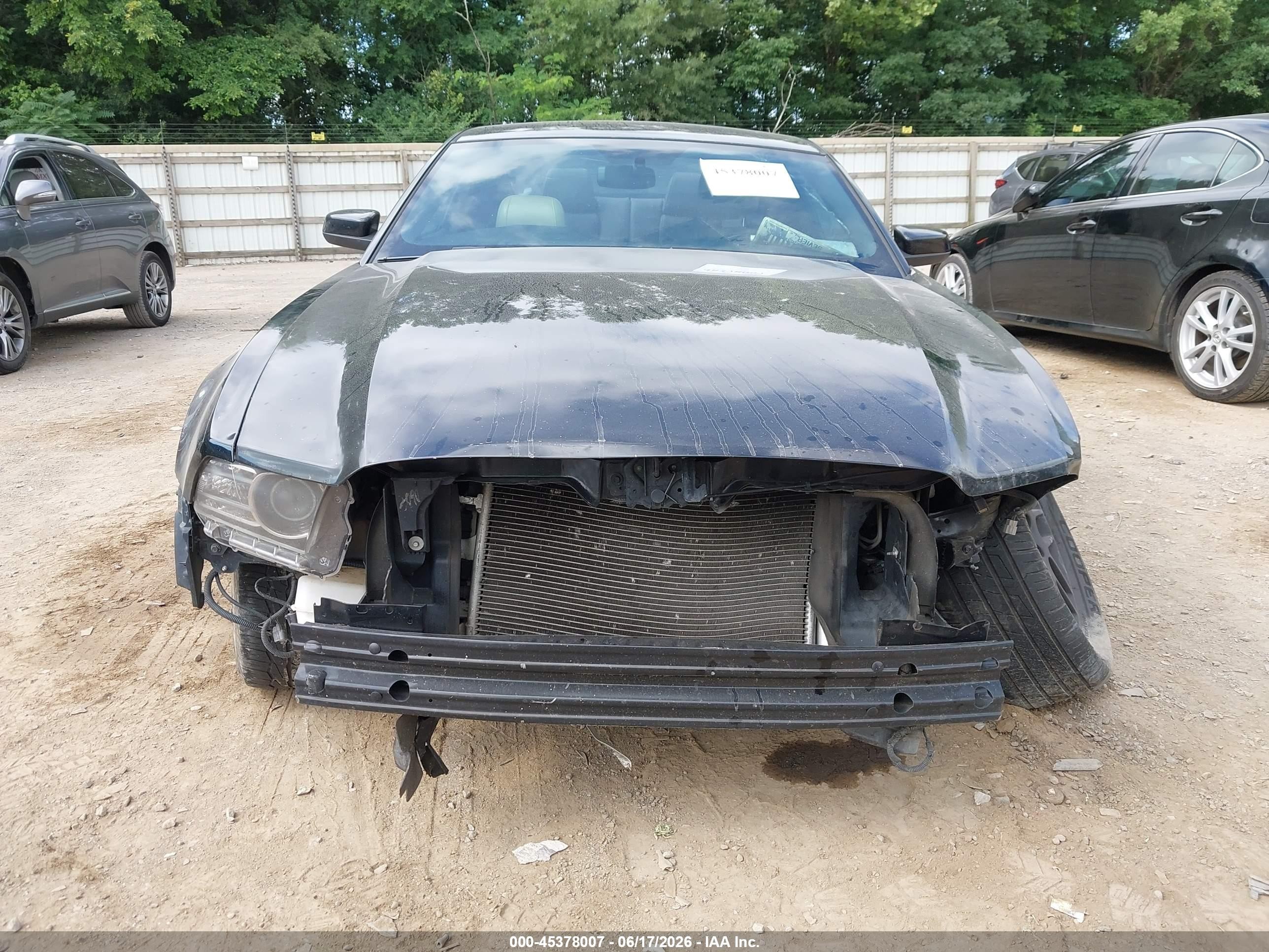 2014 Ford Mustang V6 Premium Black vin: 1ZVBP8AMXE5253337