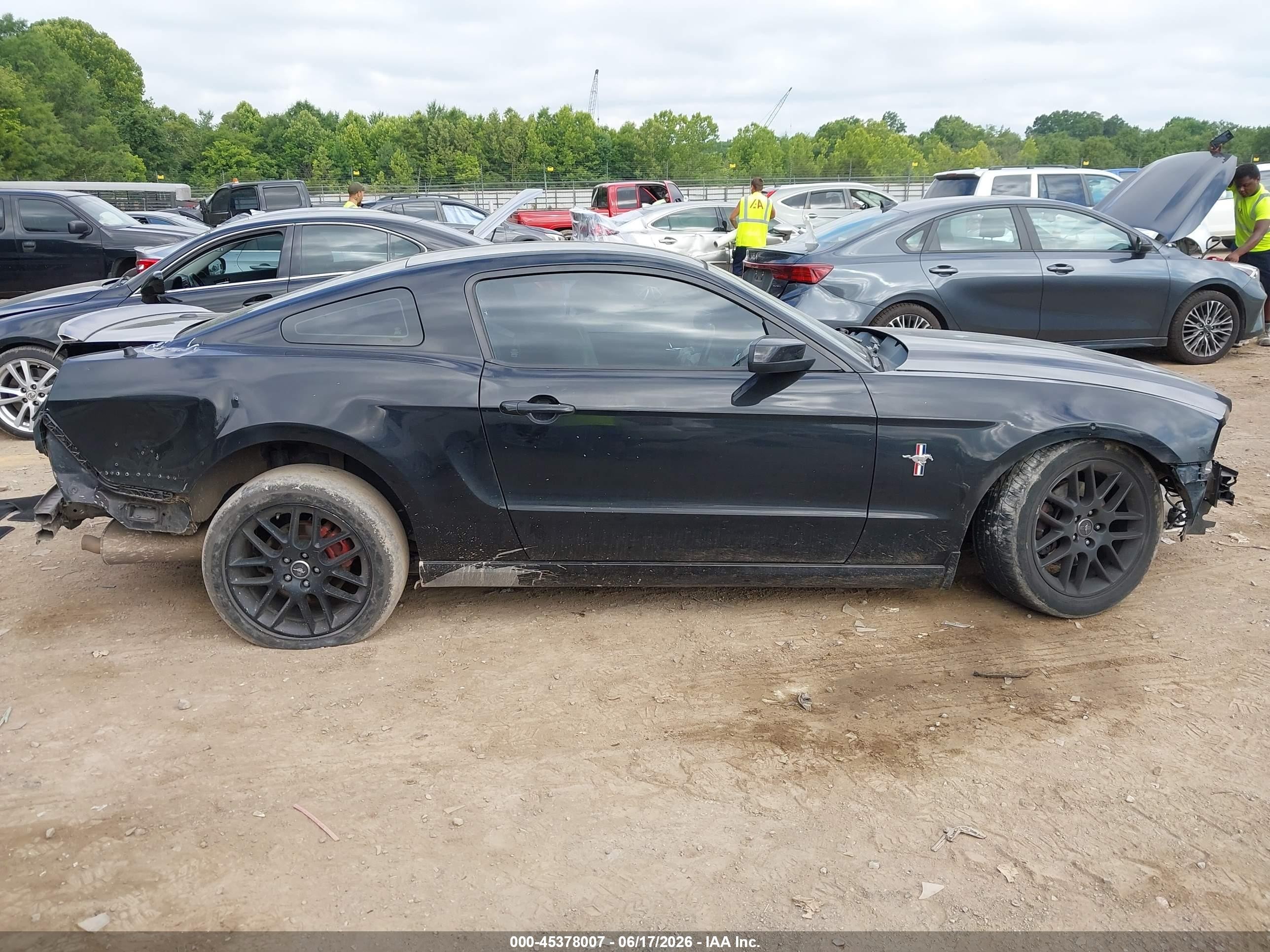 2014 Ford Mustang V6 Premium Black vin: 1ZVBP8AMXE5253337