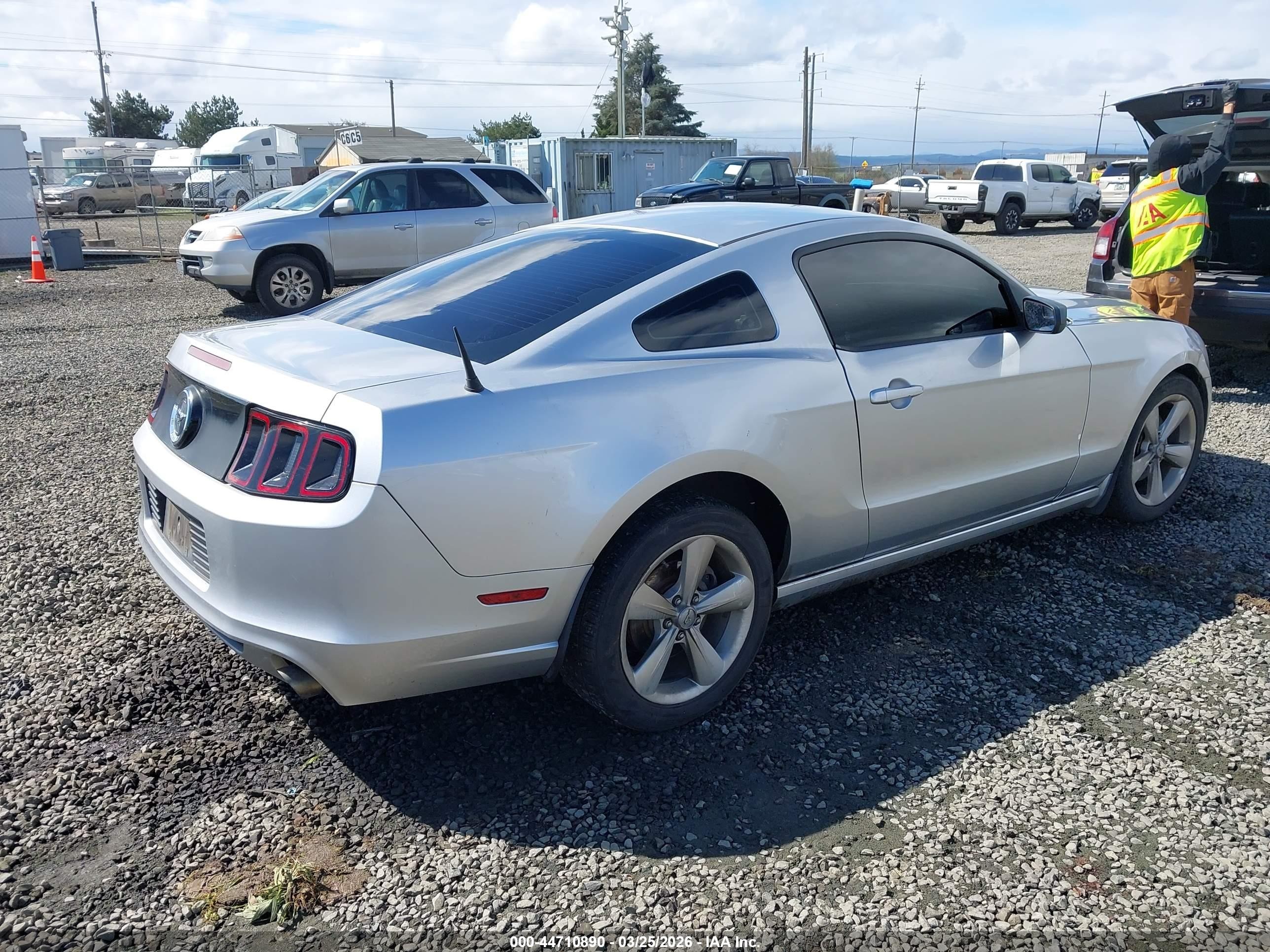 2014 Ford Mustang V6 Silver vin: 1ZVBP8AMXE5294776