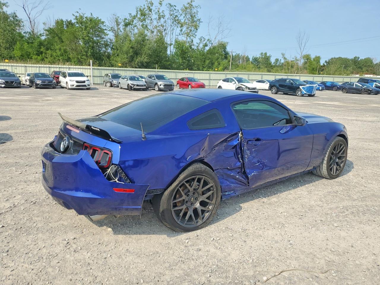 2014 Ford Mustang Blue vin: 1ZVBP8AMXE5299248