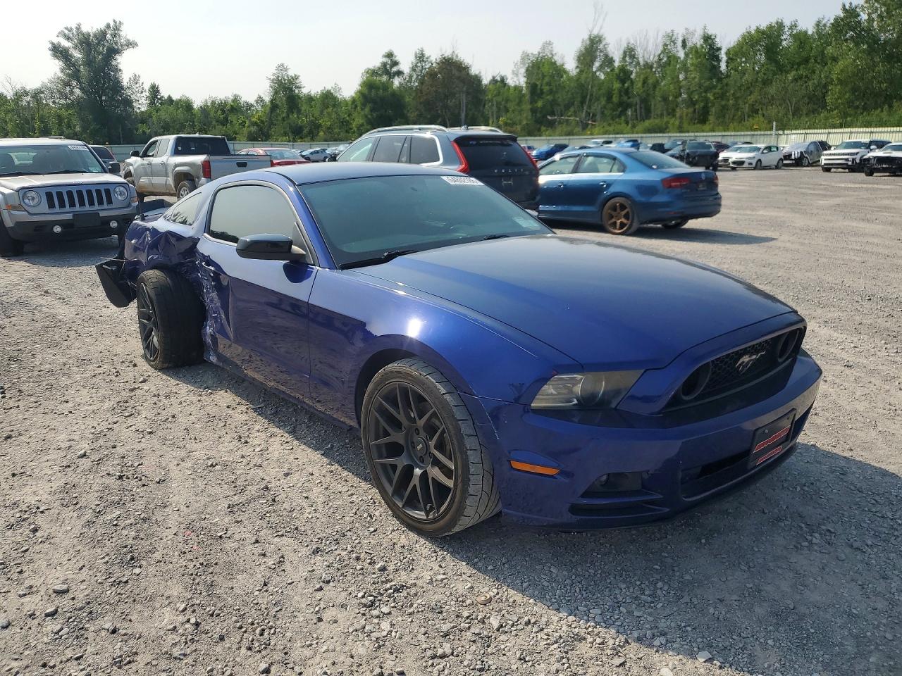 2014 Ford Mustang Blue vin: 1ZVBP8AMXE5299248