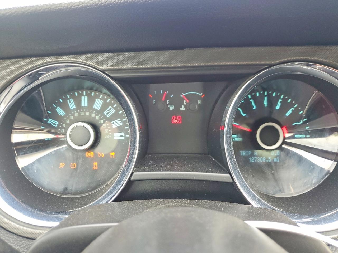 2014 Ford Mustang Blue vin: 1ZVBP8AMXE5299248