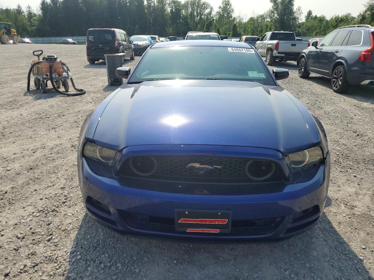 2014 Ford Mustang Blue vin: 1ZVBP8AMXE5299248